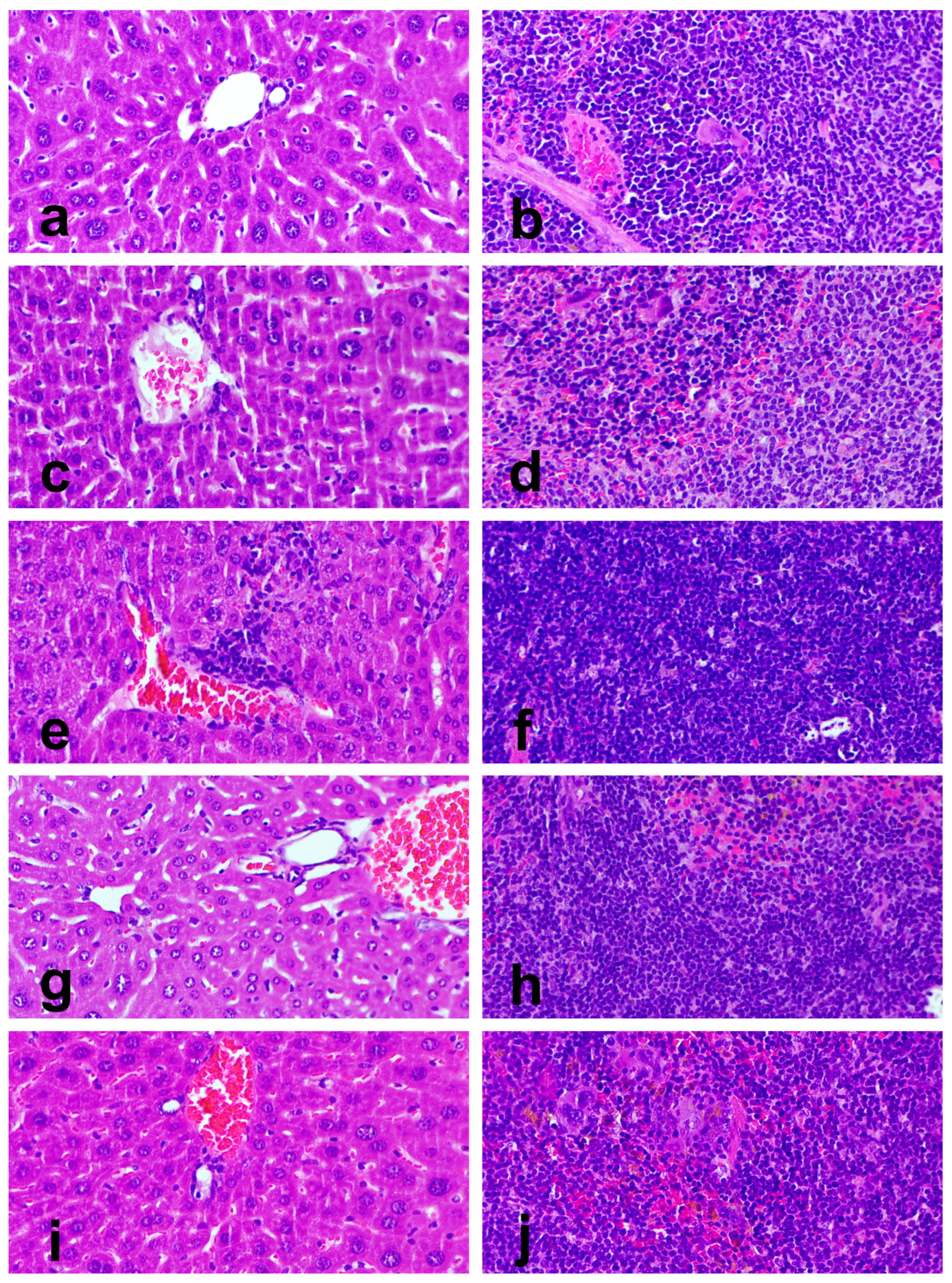 Cimb 47 00858 g006 Cimb 47 00858 g006