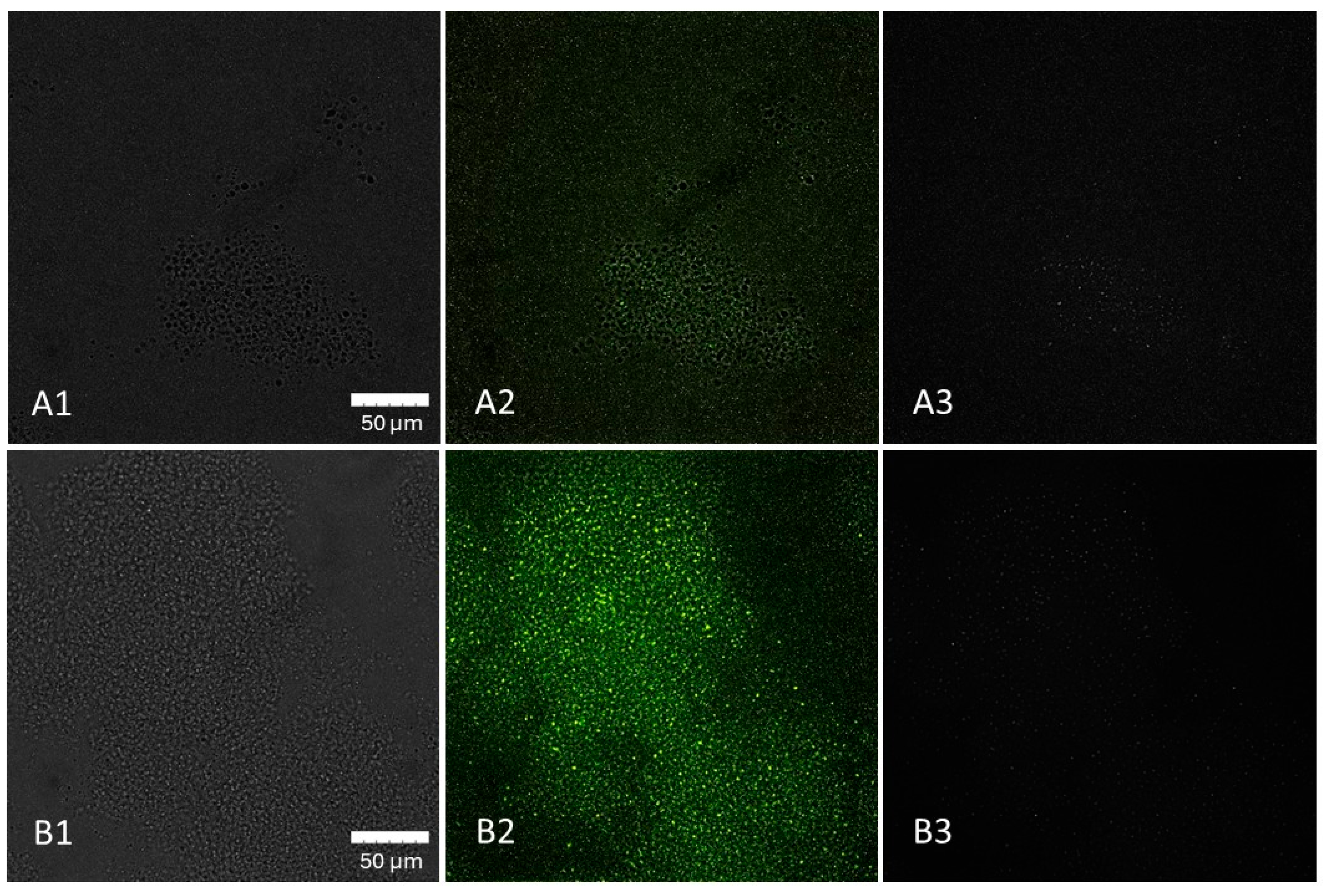 Cimb 47 00891 g005 Cimb 47 00891 g005