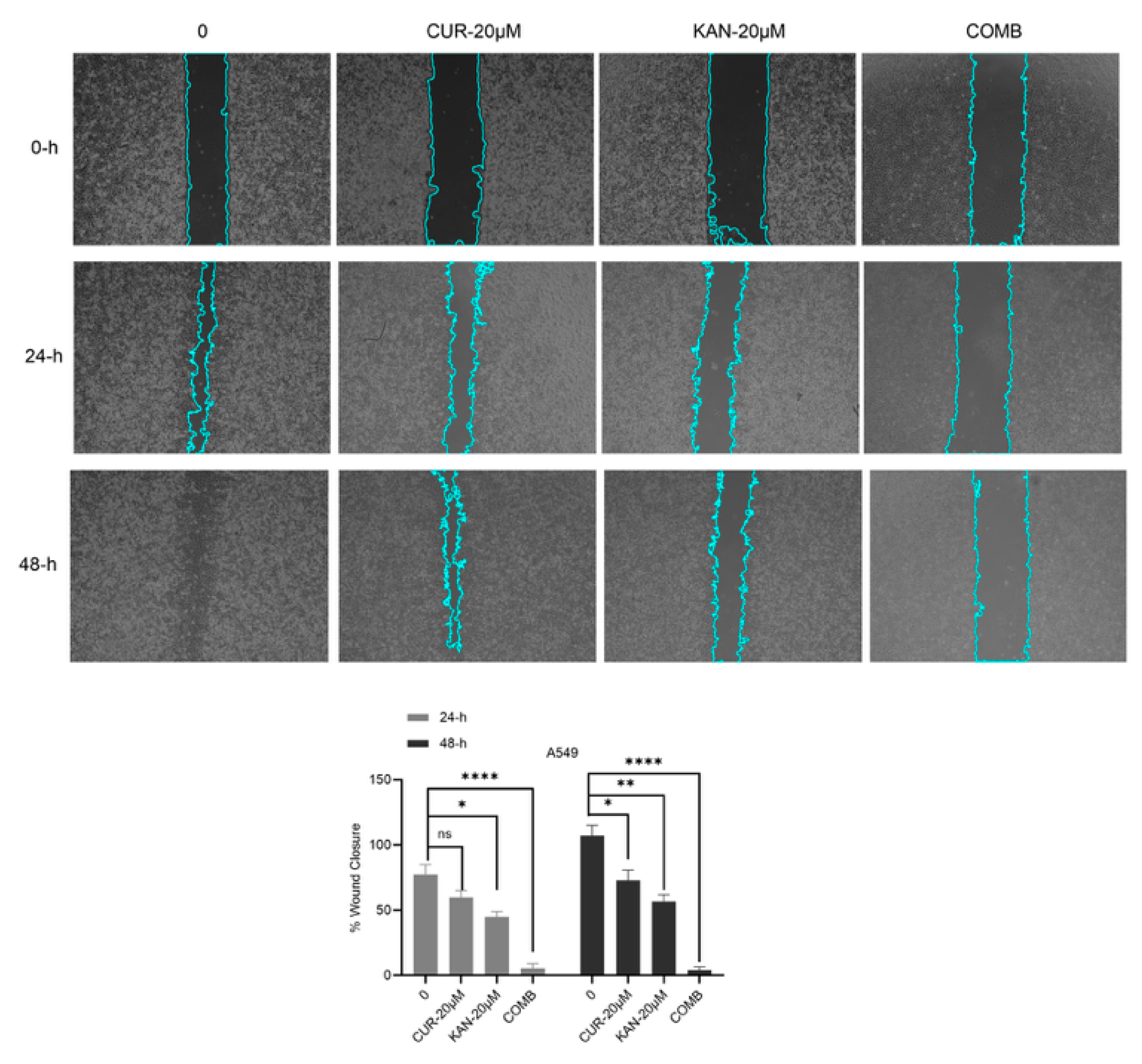 Cimb 47 00892 g002 Cimb 47 00892 g002