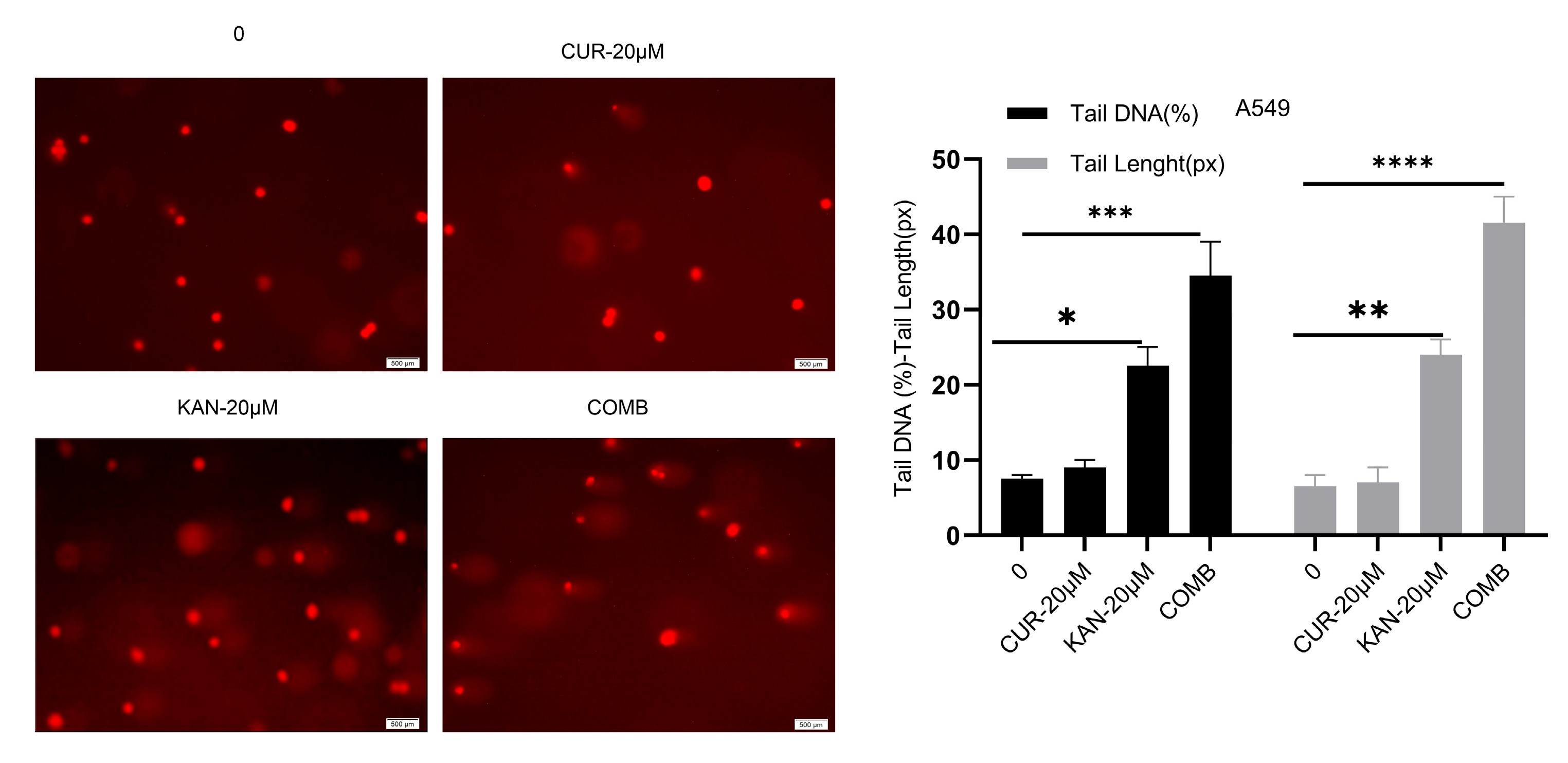 Cimb 47 00892 g003 Cimb 47 00892 g003