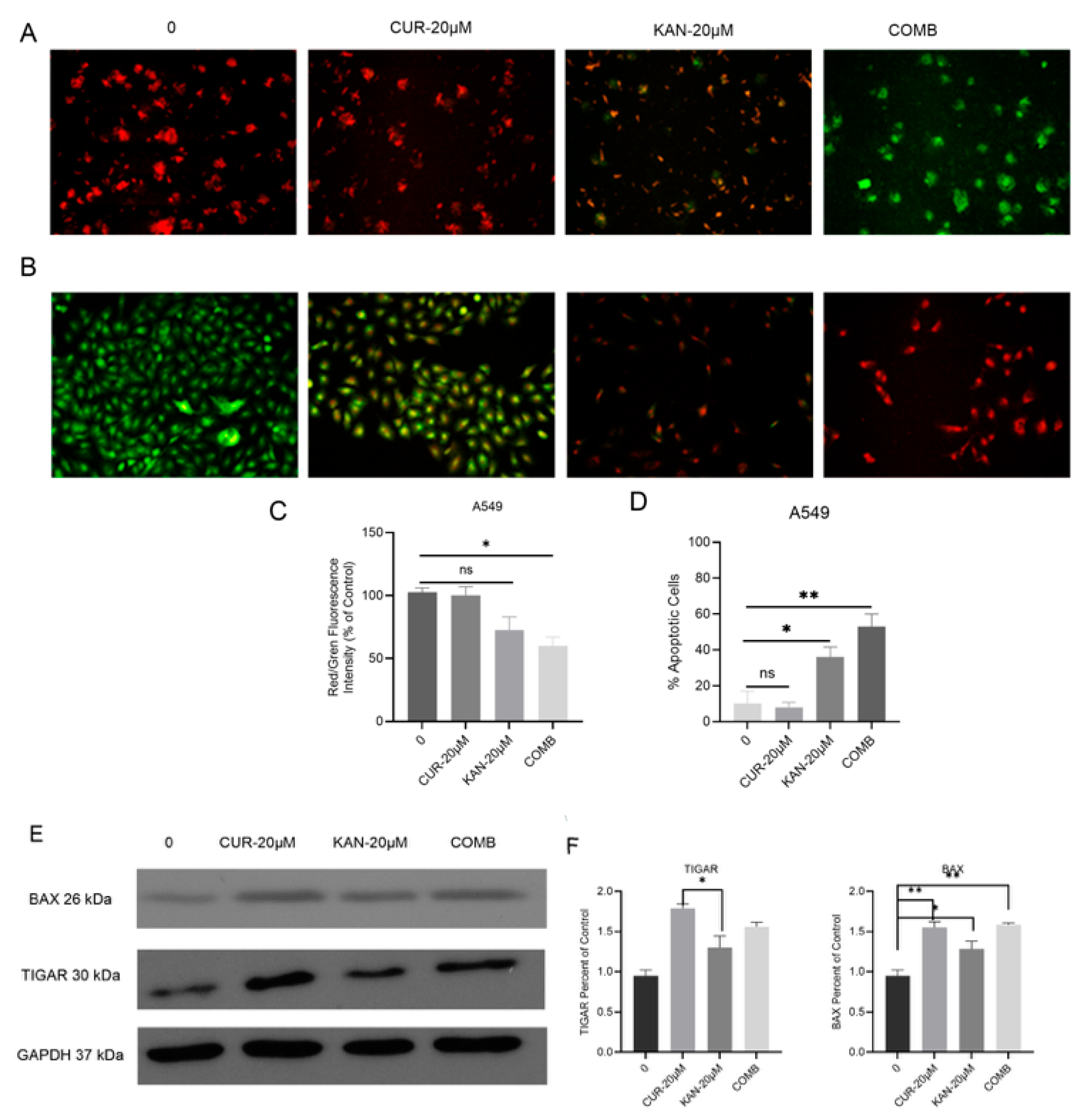 Cimb 47 00892 g004 Cimb 47 00892 g004
