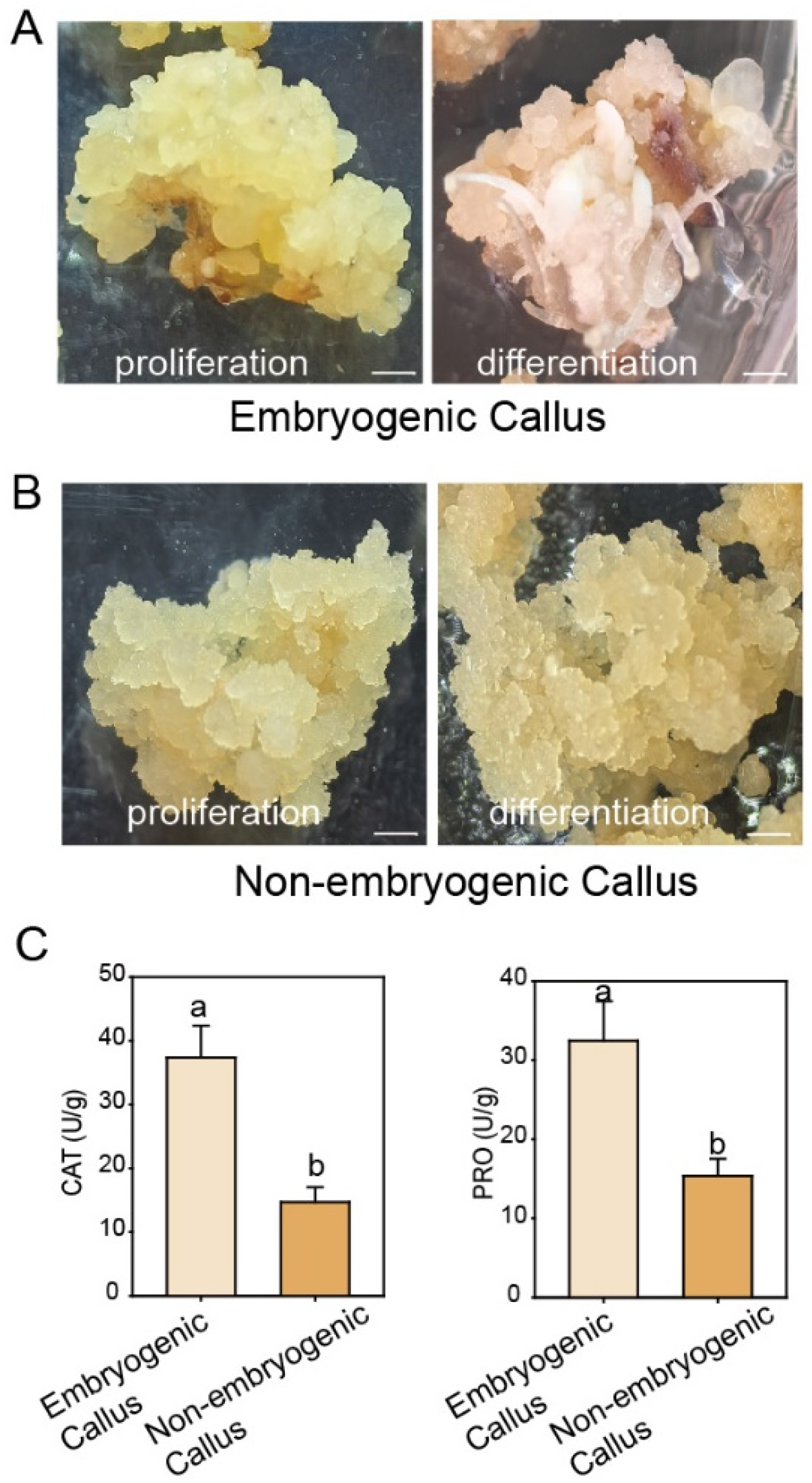 Cimb 47 00894 g002 Cimb 47 00894 g002