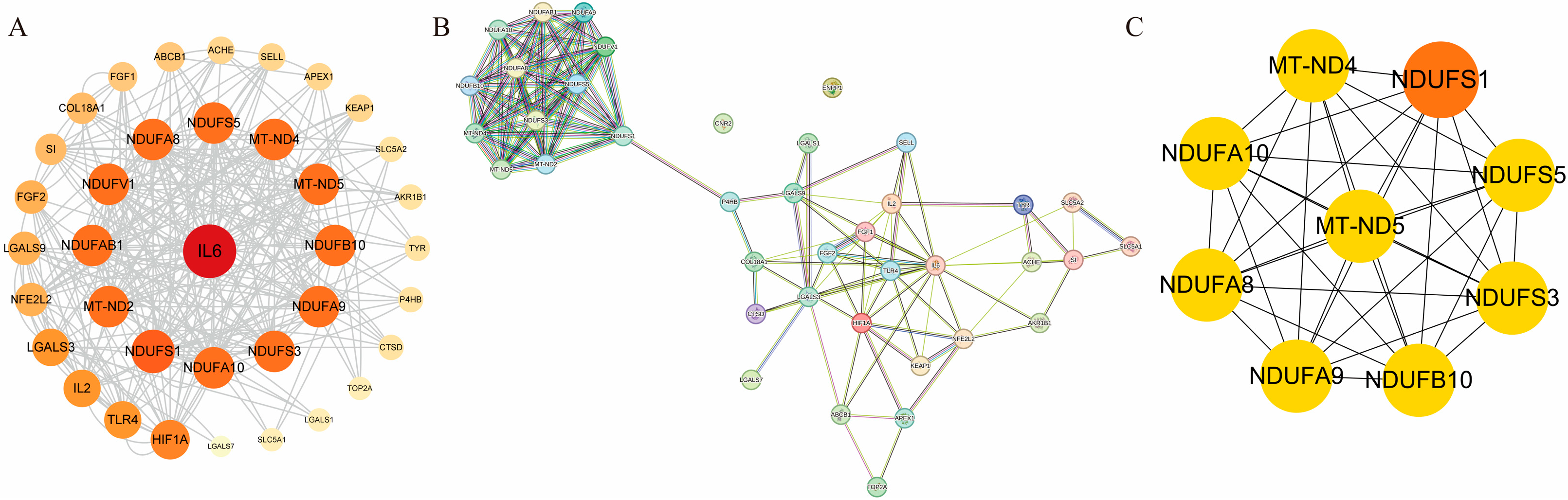 Cimb 47 00895 g002 Cimb 47 00895 g002