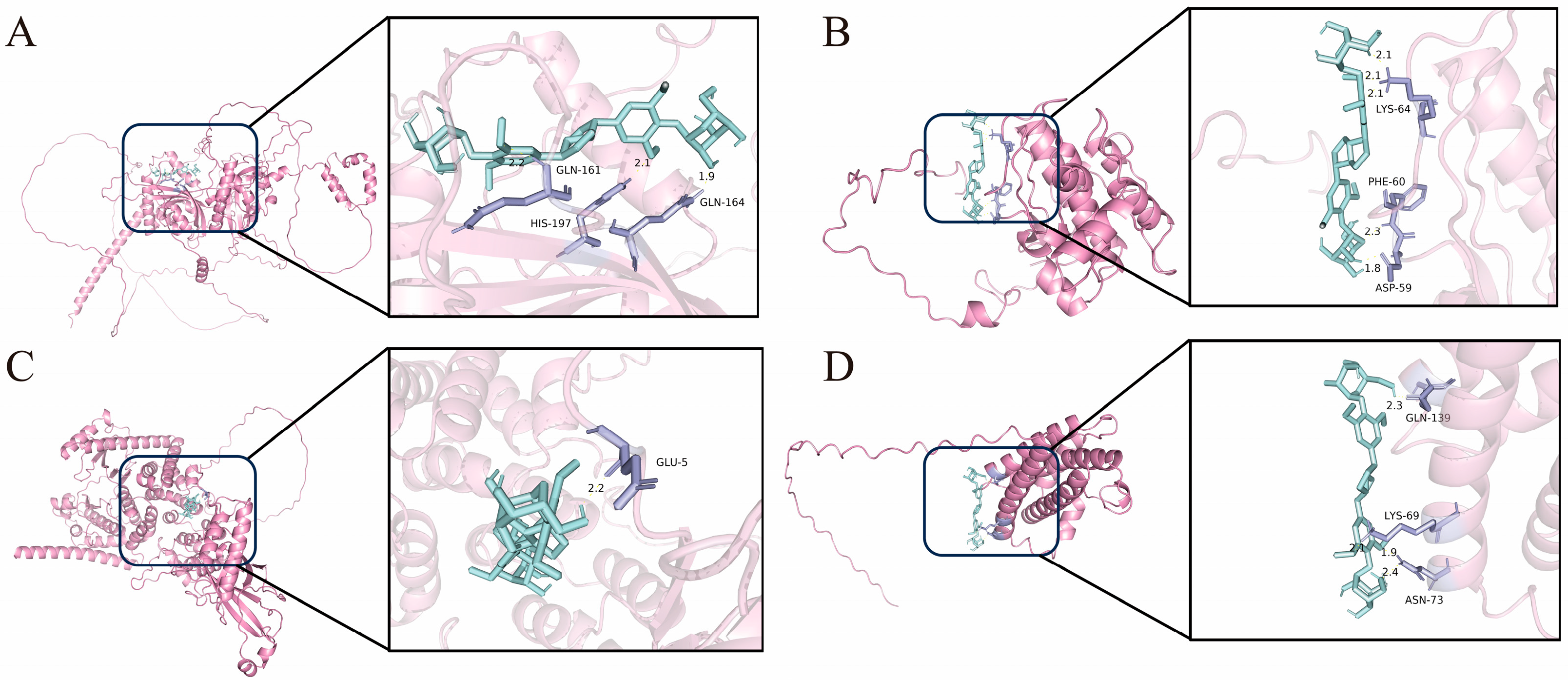 Cimb 47 00895 g004 Cimb 47 00895 g004