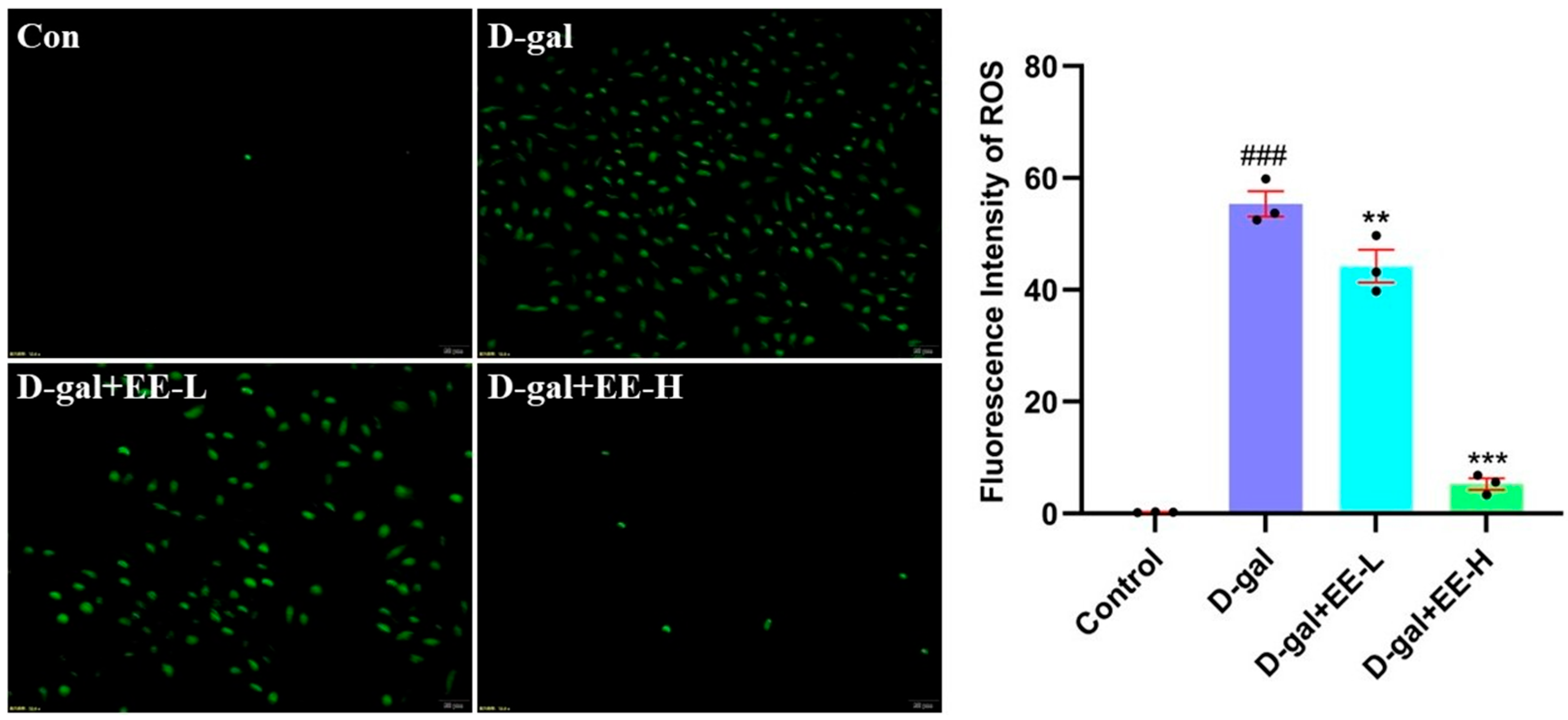 Cimb 47 00895 g007 Cimb 47 00895 g007