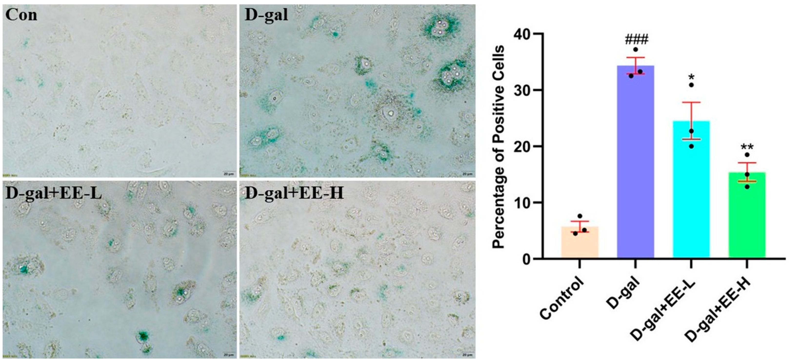 Cimb 47 00895 g008 Cimb 47 00895 g008