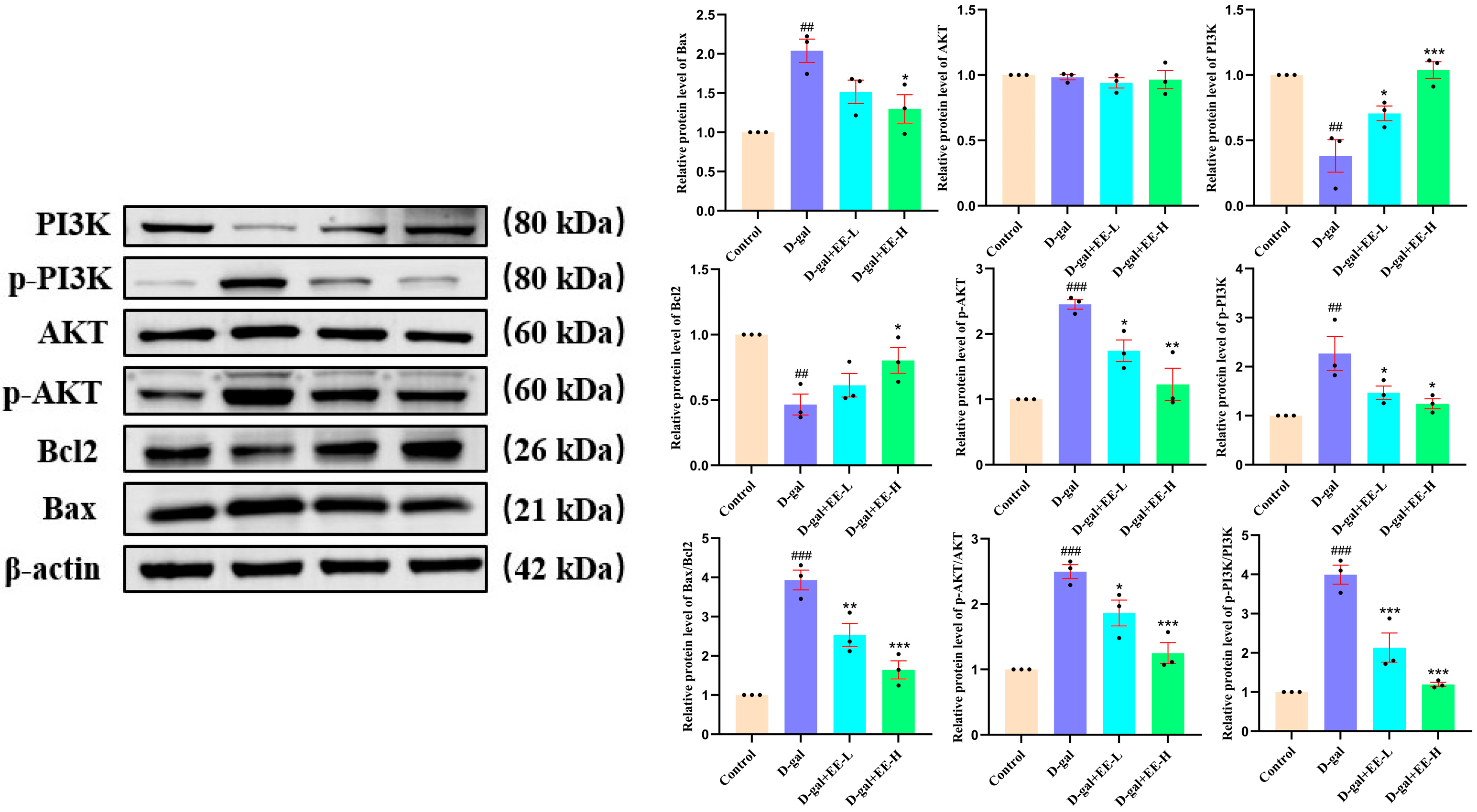 Cimb 47 00895 g010 Cimb 47 00895 g010