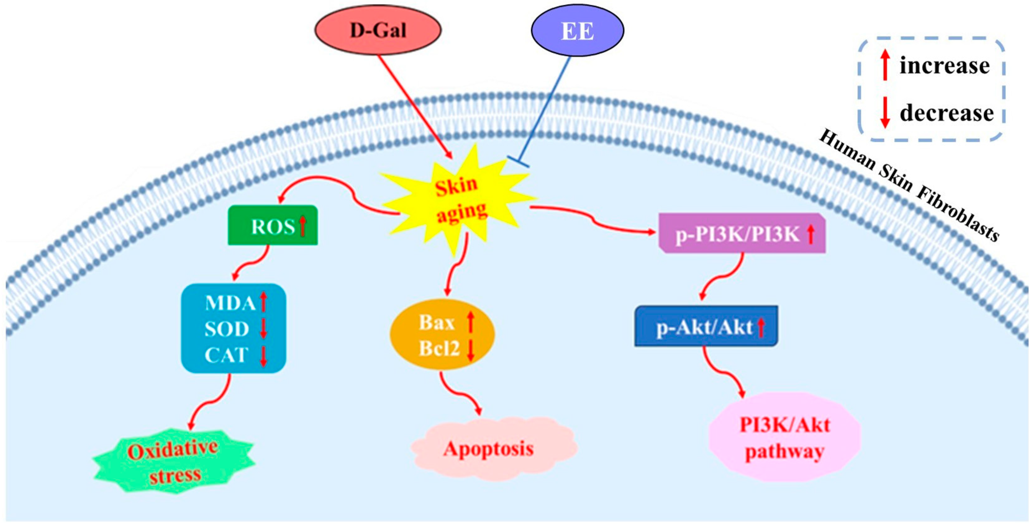 Cimb 47 00895 g011 Cimb 47 00895 g011