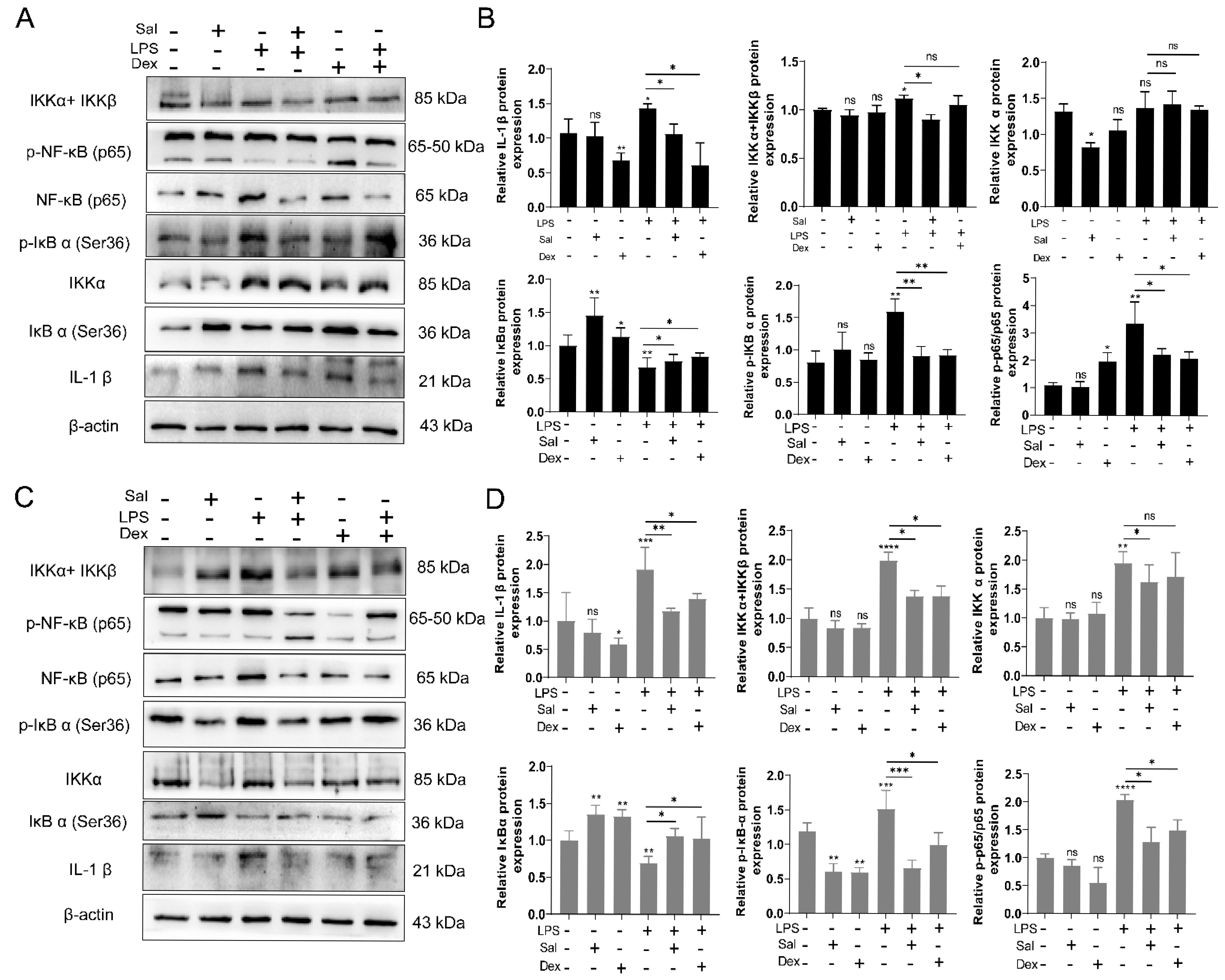 Cimb 47 00896 g003 Cimb 47 00896 g003
