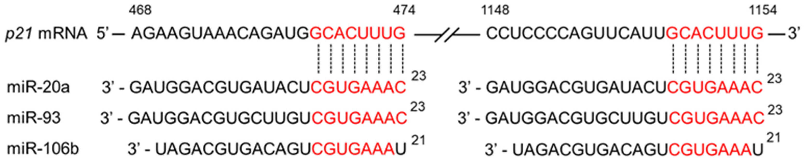 Cimb 47 00898 g003 Cimb 47 00898 g003