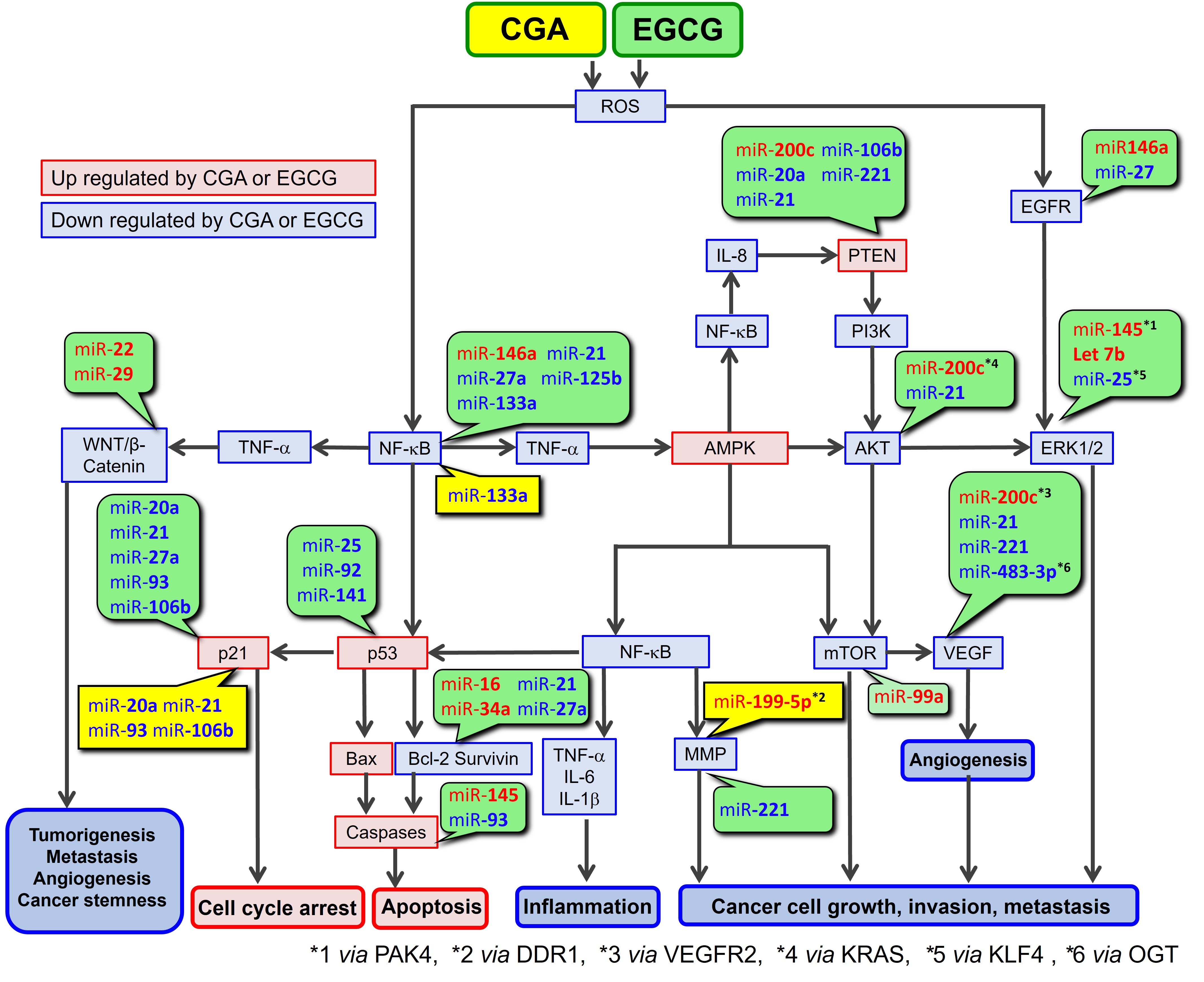 Cimb 47 00898 g004 Cimb 47 00898 g004