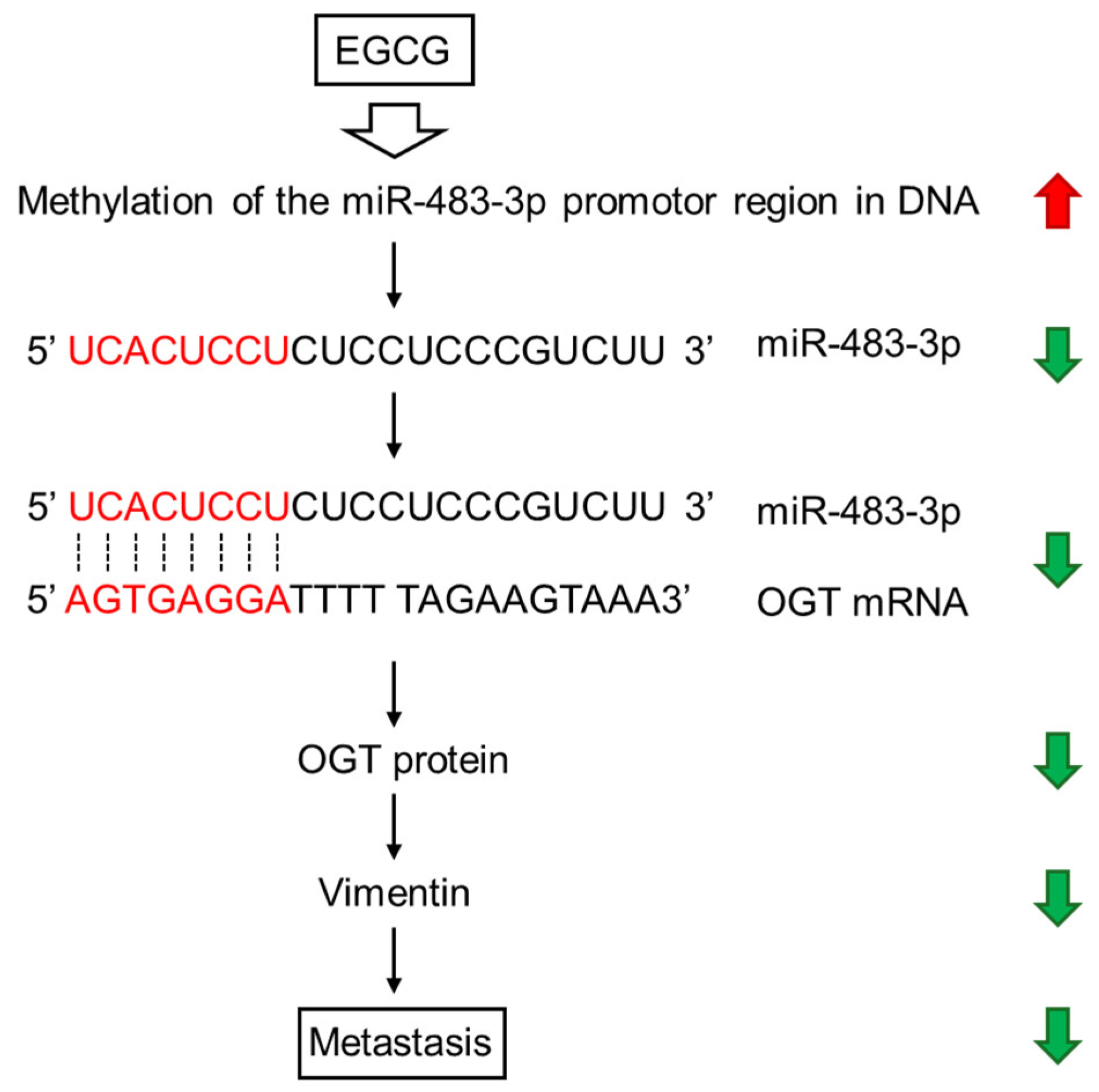 Cimb 47 00898 g005 Cimb 47 00898 g005