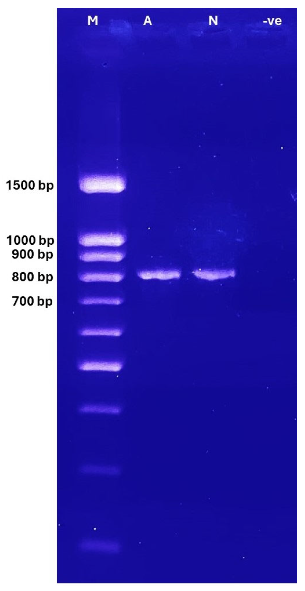 Cimb 47 00901 g001 Cimb 47 00901 g001