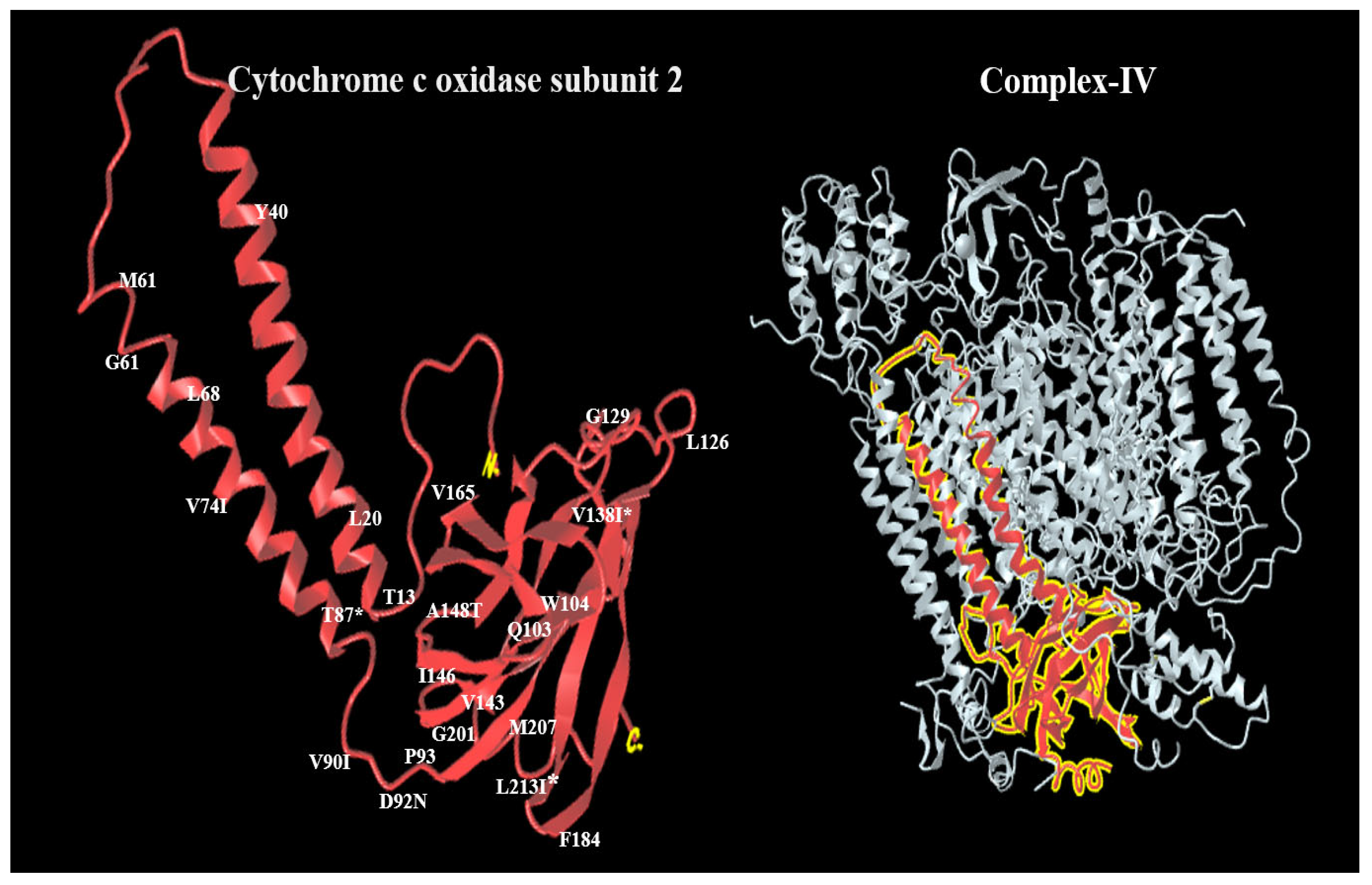 Cimb 47 00901 g004 Cimb 47 00901 g004