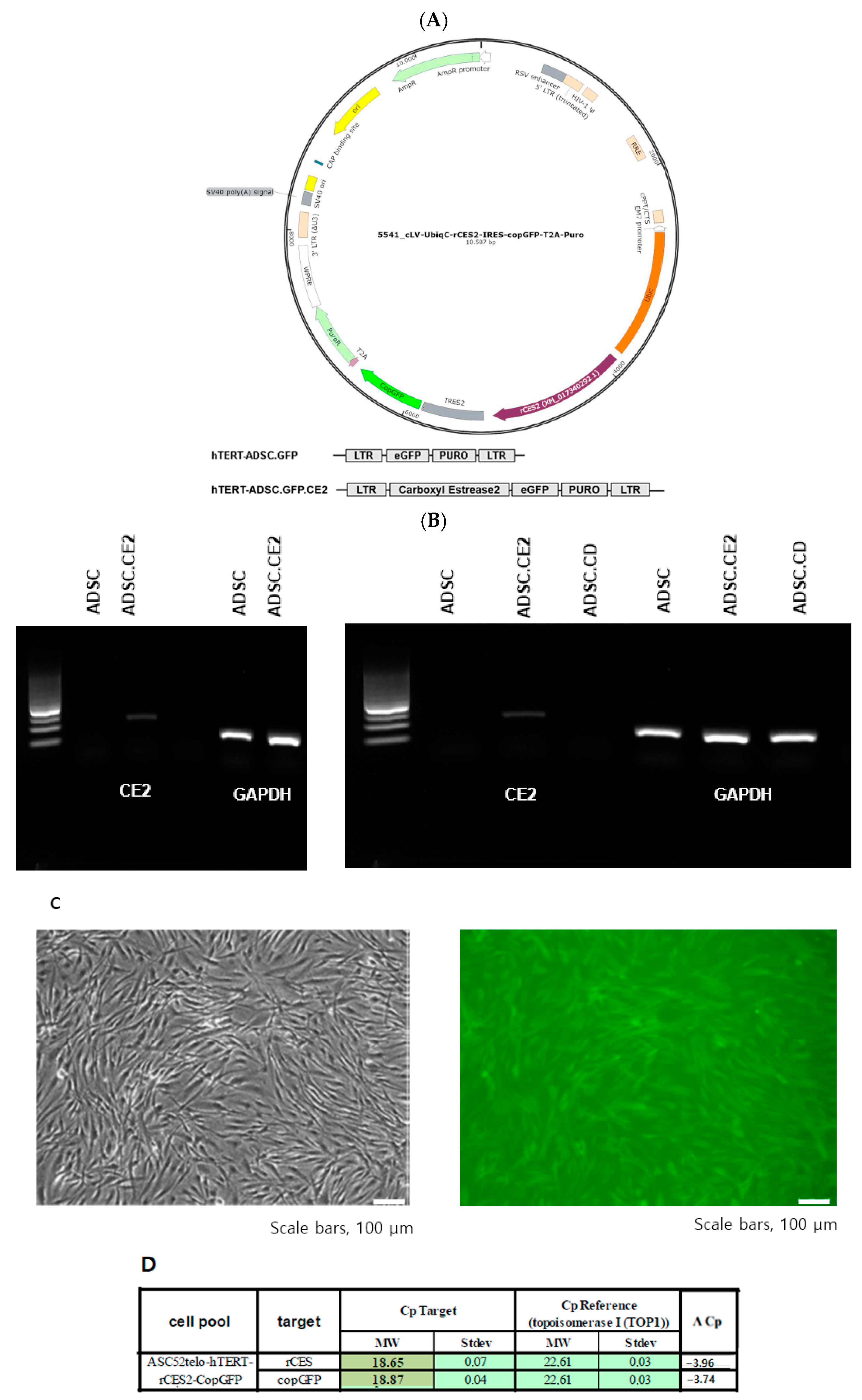Cimb 47 00902 g003 Cimb 47 00902 g003