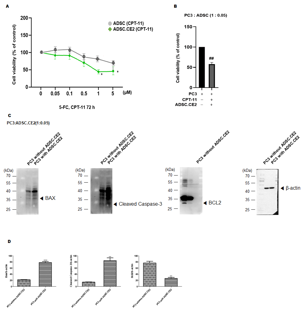 Cimb 47 00902 g005 Cimb 47 00902 g005