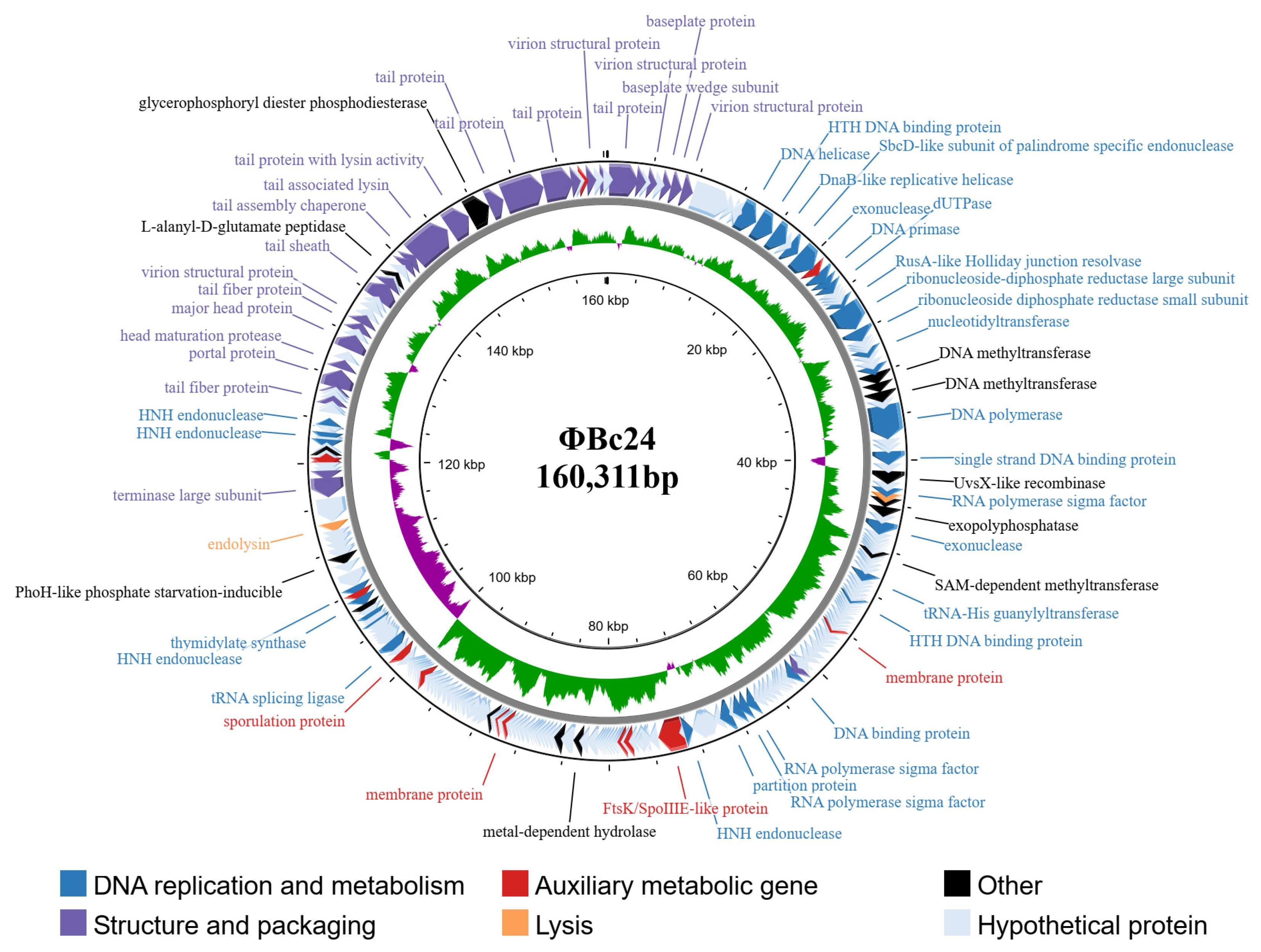 Cimb 47 00906 g005 Cimb 47 00906 g005