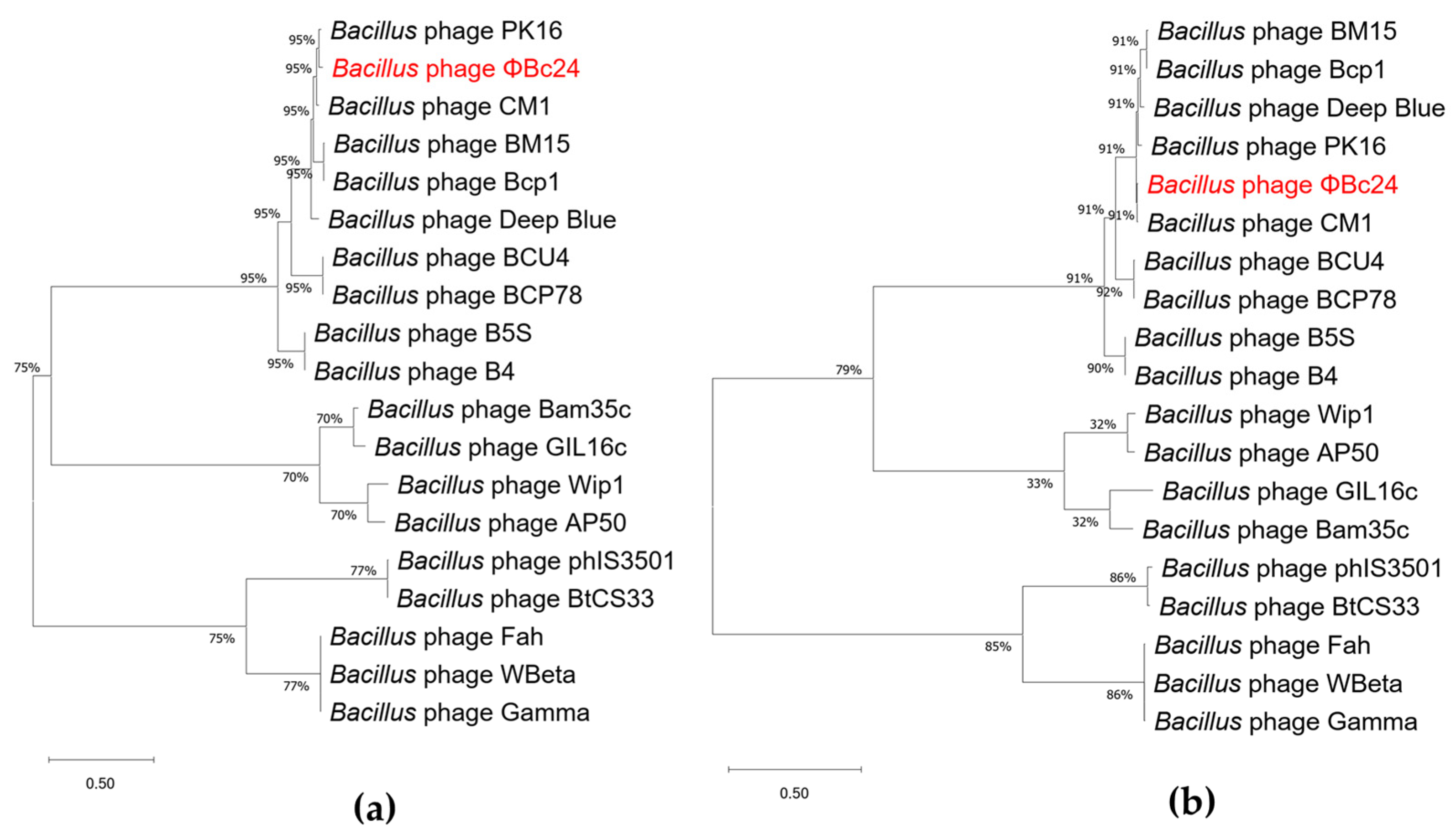 Cimb 47 00906 g008 Cimb 47 00906 g008
