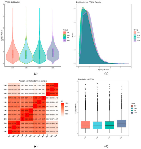 りん Unraveling the Hormonal and Molecular Mechanisms Shaping Fruit