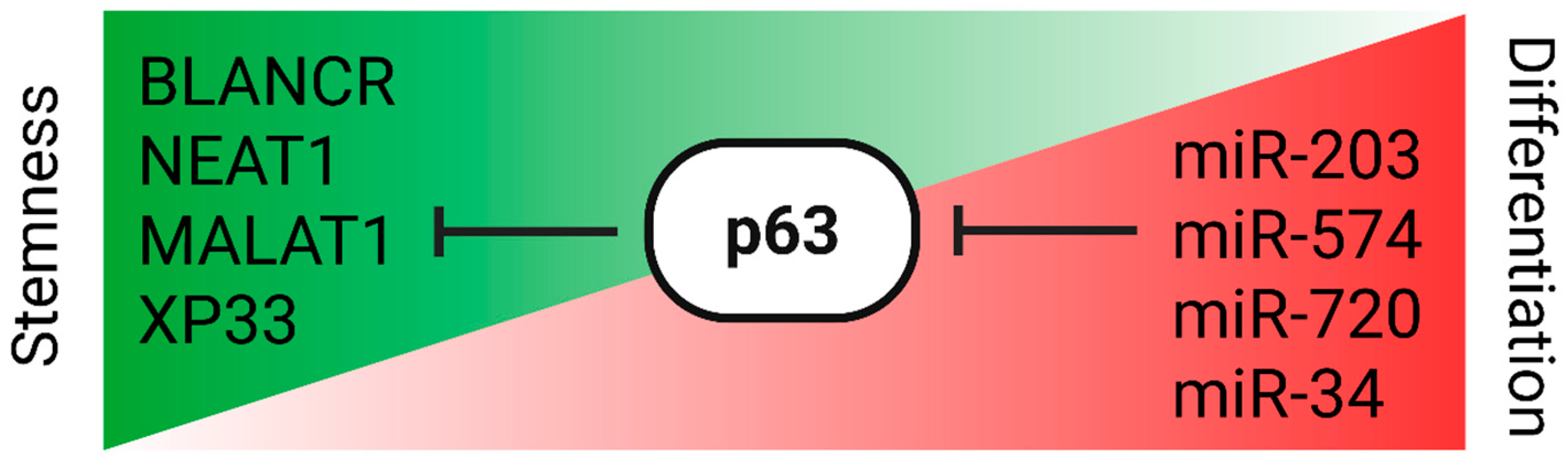 Cimb 47 00924 g001 Cimb 47 00924 g001