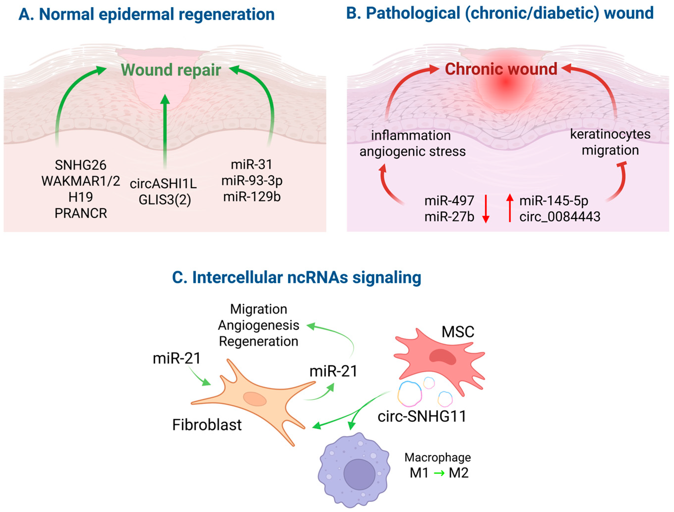 Cimb 47 00924 g002 Cimb 47 00924 g002