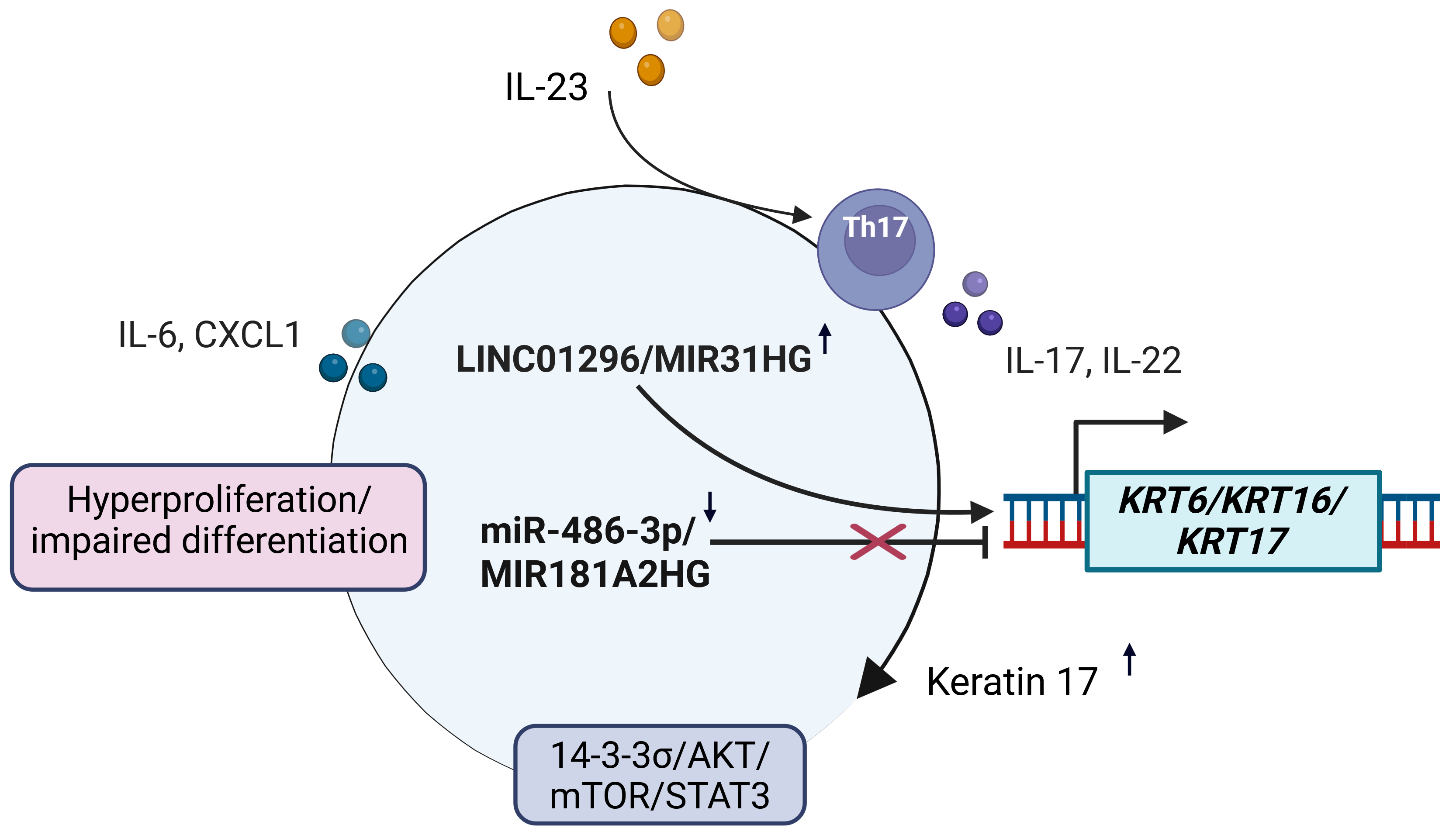 Cimb 47 00924 g003 Cimb 47 00924 g003