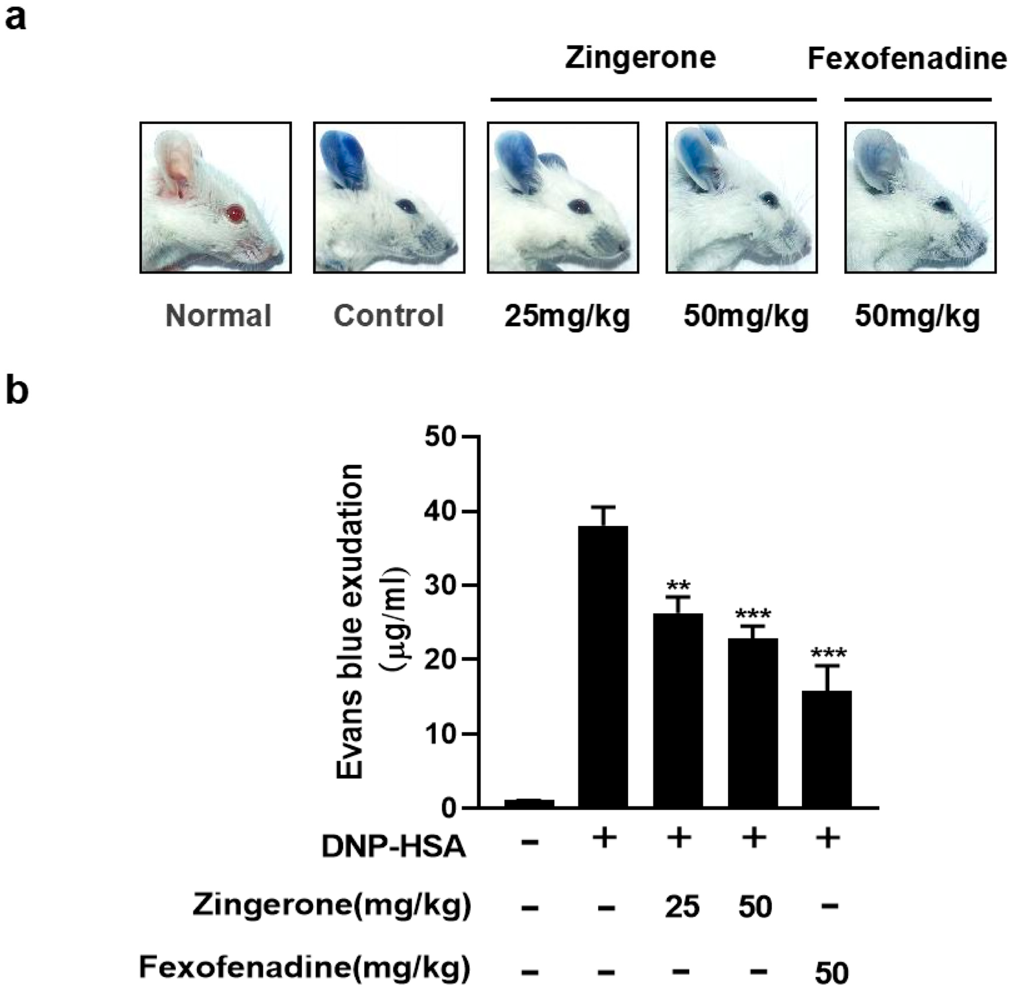 Cimb 47 00963 g006 Cimb 47 00963 g006