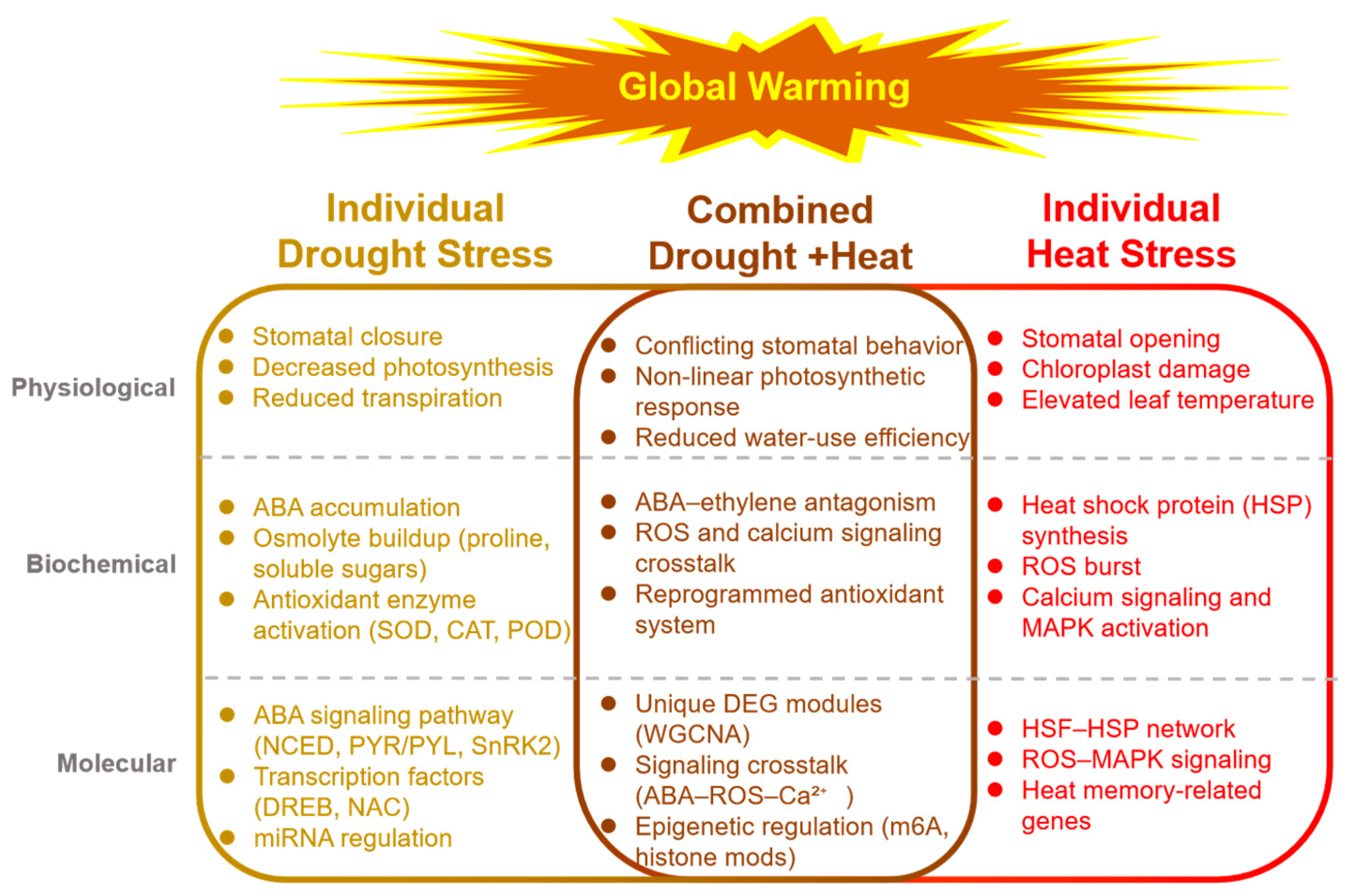Cimb 47 00975 g001 Cimb 47 00975 g001