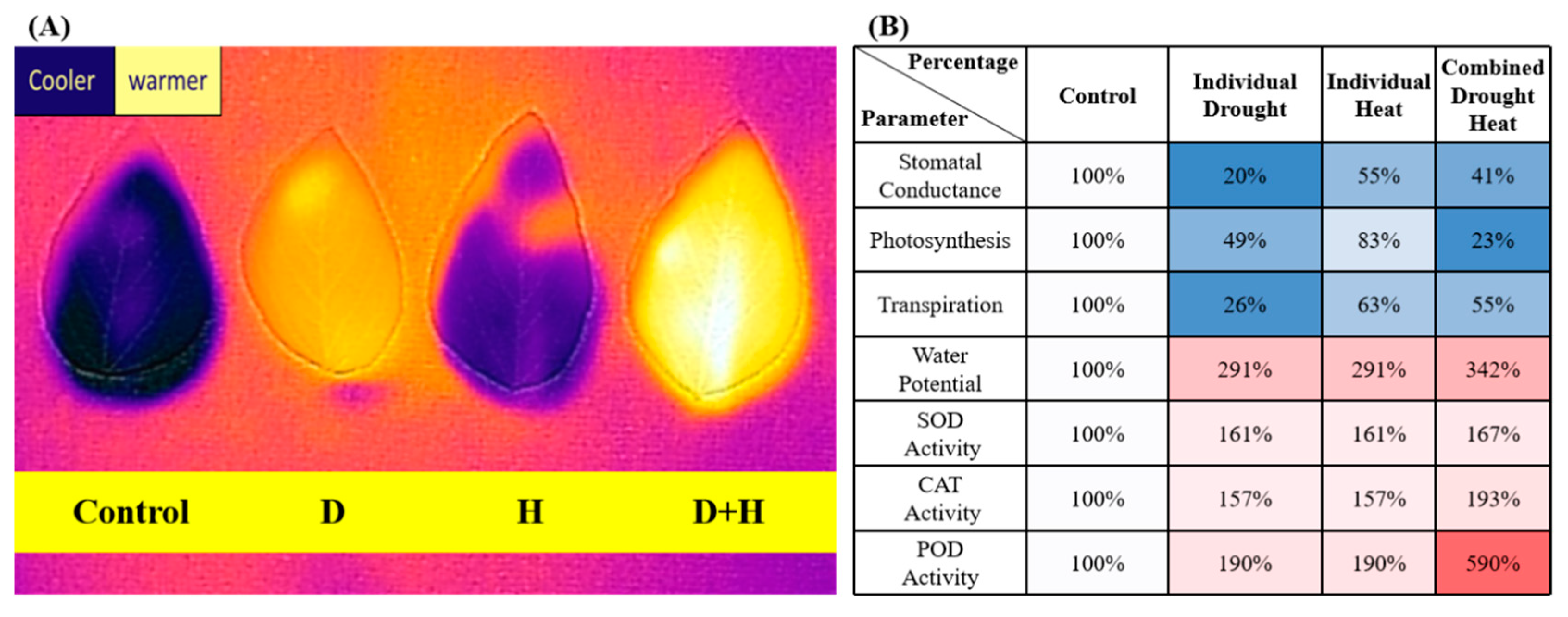 Cimb 47 00975 g002 Cimb 47 00975 g002