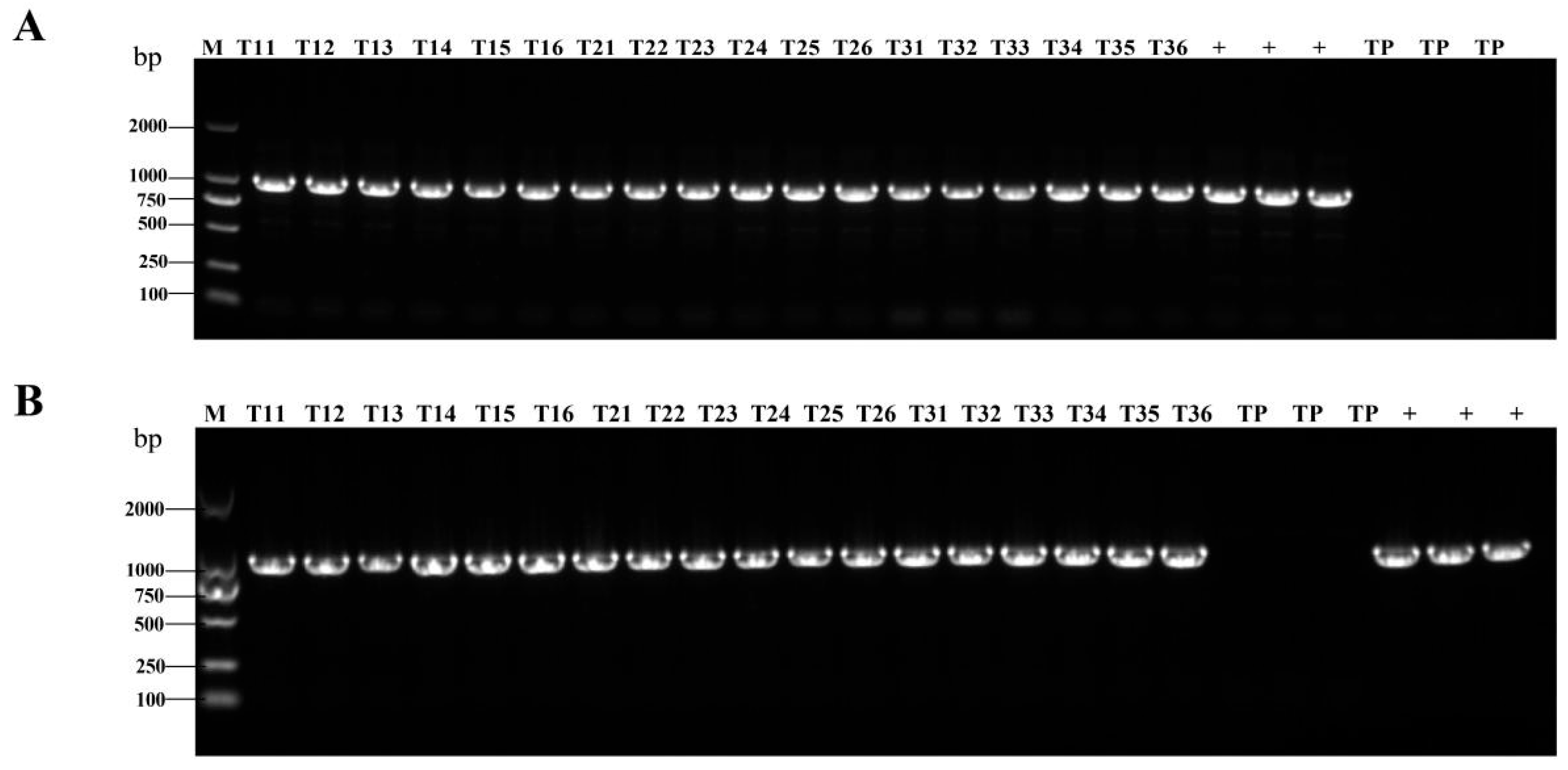 Cimb 47 00986 g001a Cimb 47 00986 g001a