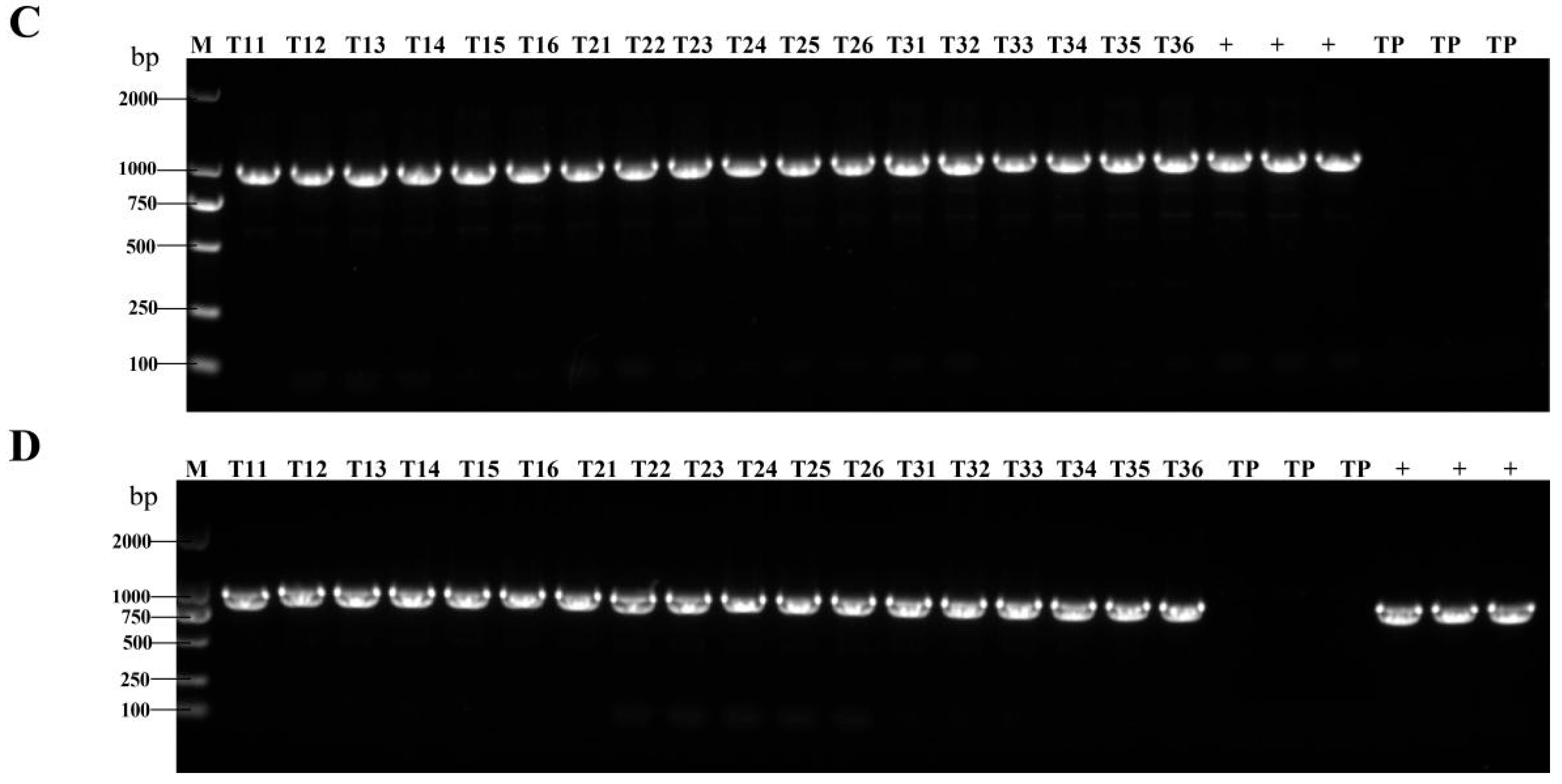 Cimb 47 00986 g001b Cimb 47 00986 g001b