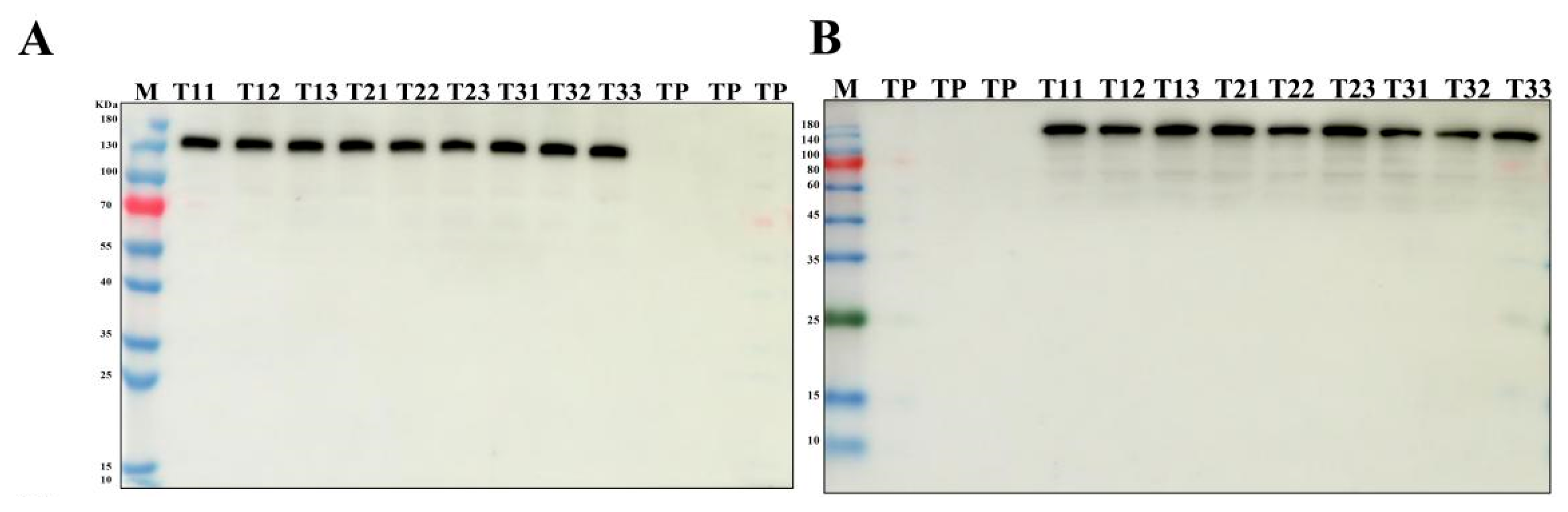 Cimb 47 00986 g003 Cimb 47 00986 g003