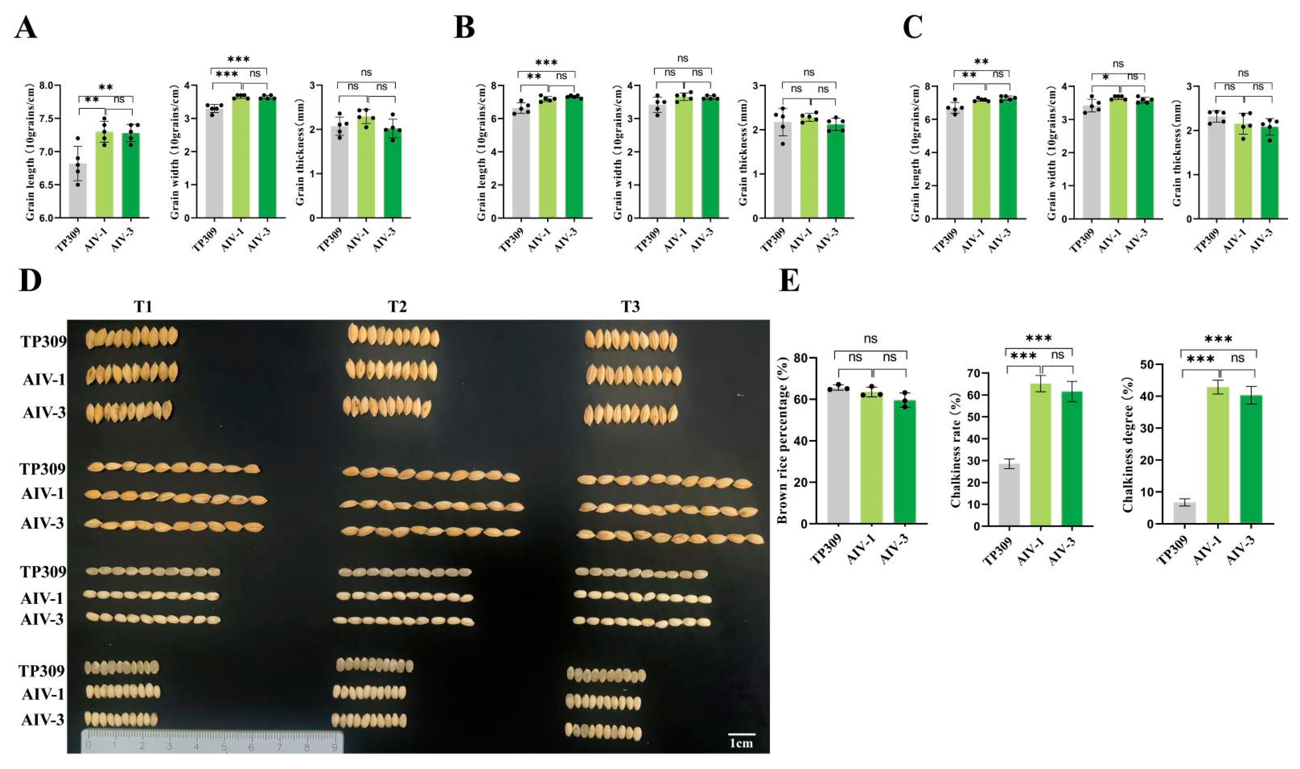 Cimb 47 00986 g005 Cimb 47 00986 g005