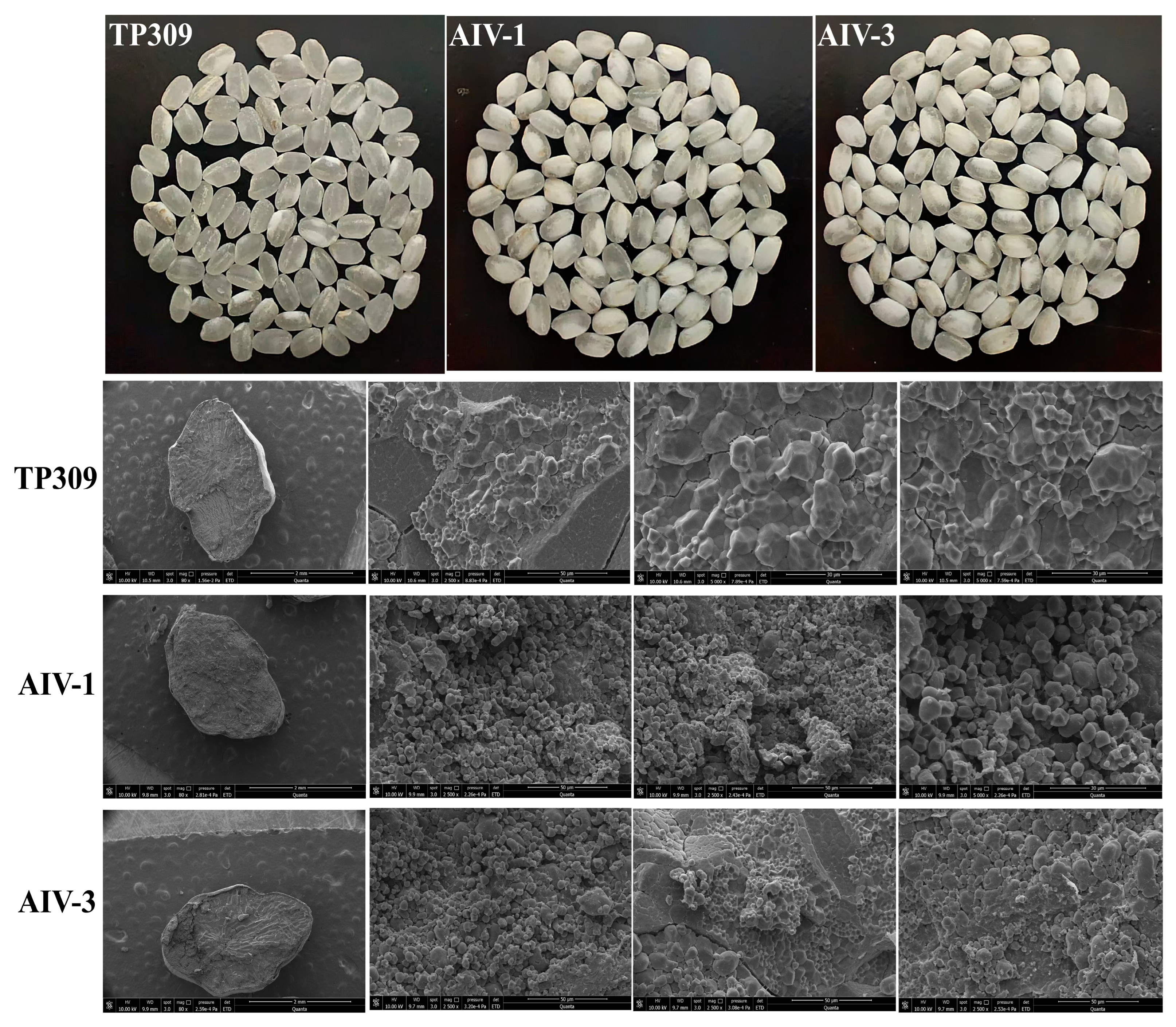 Cimb 47 00986 g006 Cimb 47 00986 g006