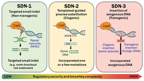 Genome-Edited Fish in the Field