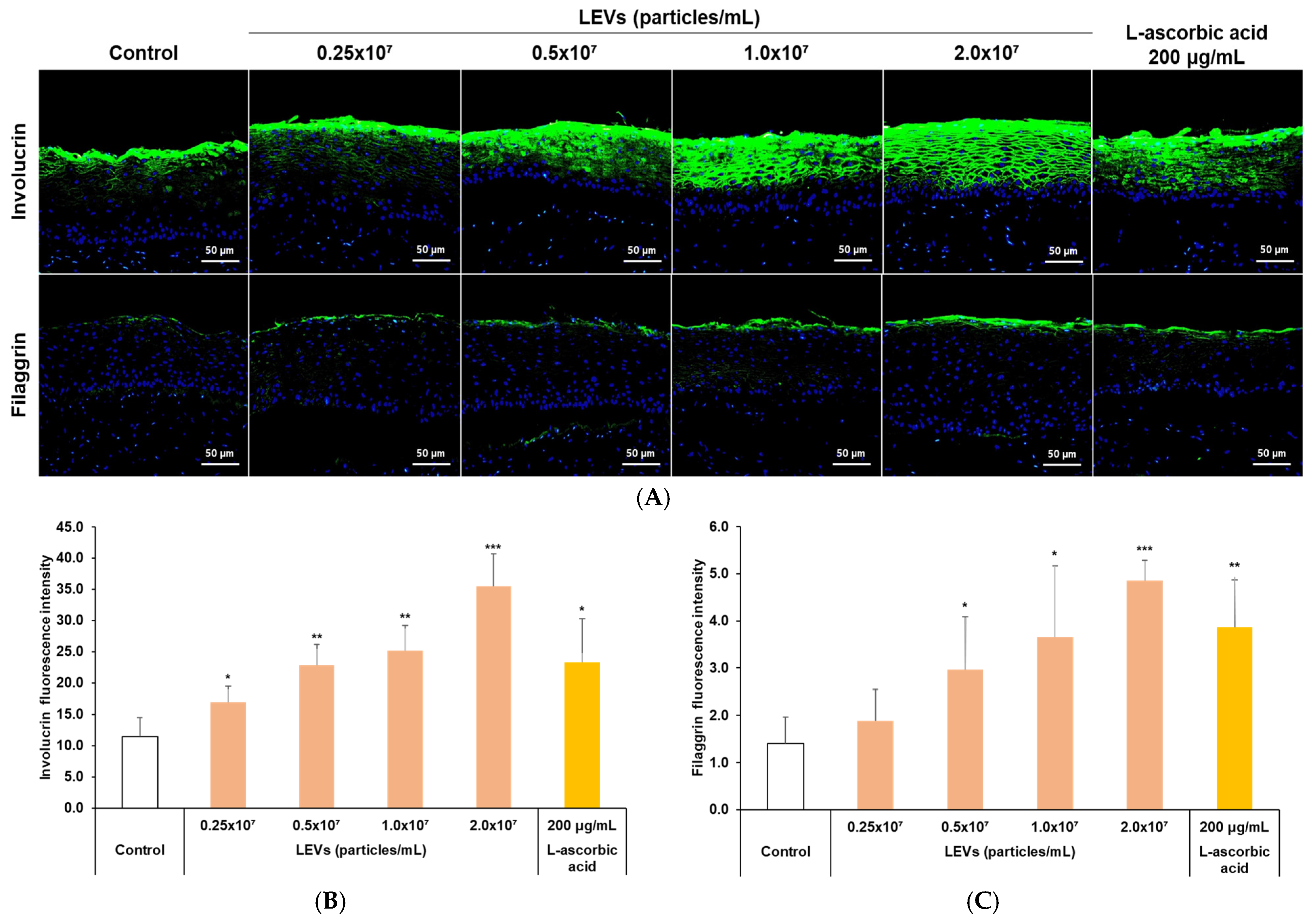 Cimb 47 01022 g007 Cimb 47 01022 g007