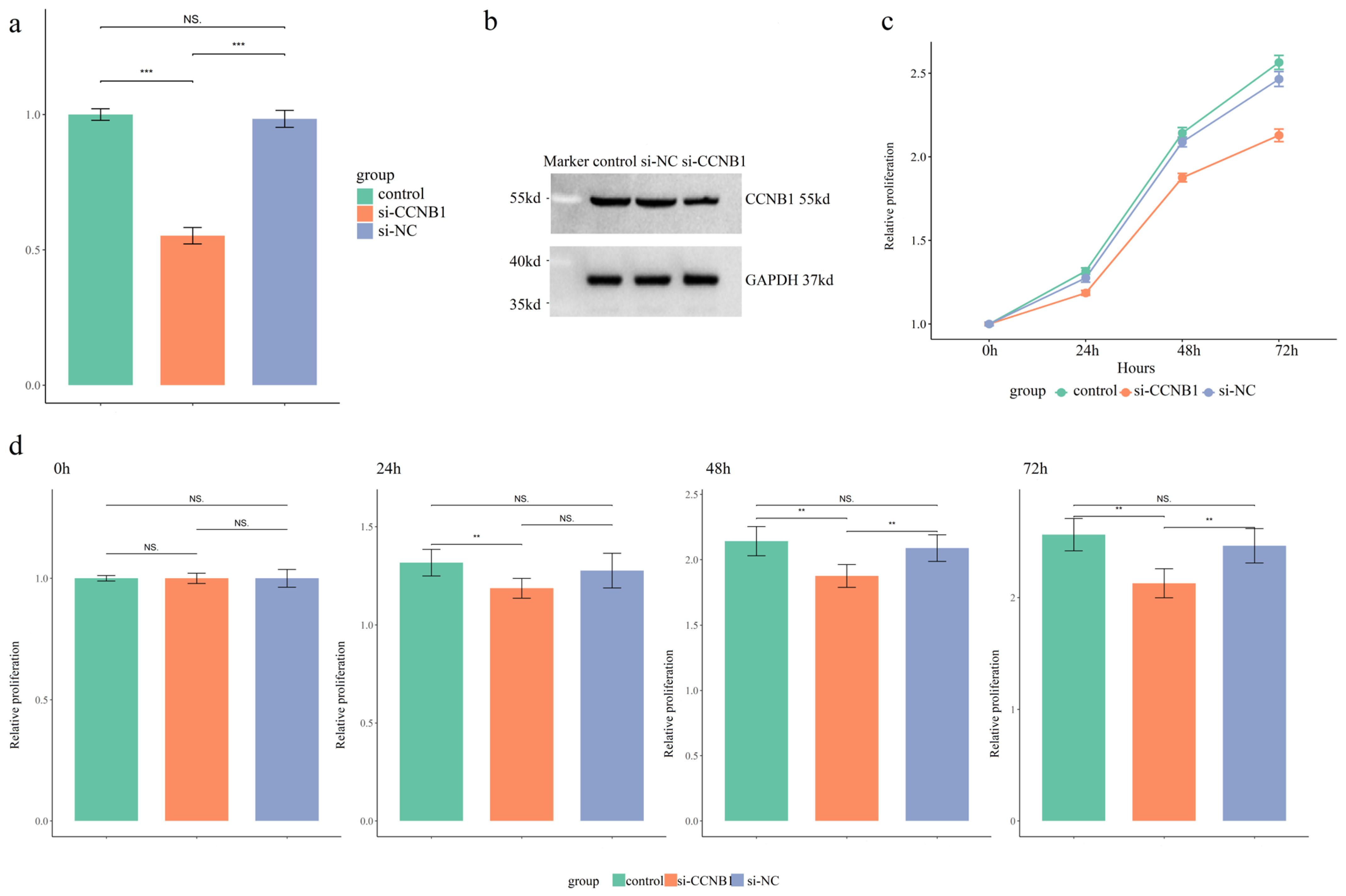 Cimb 47 01026 g006 Cimb 47 01026 g006
