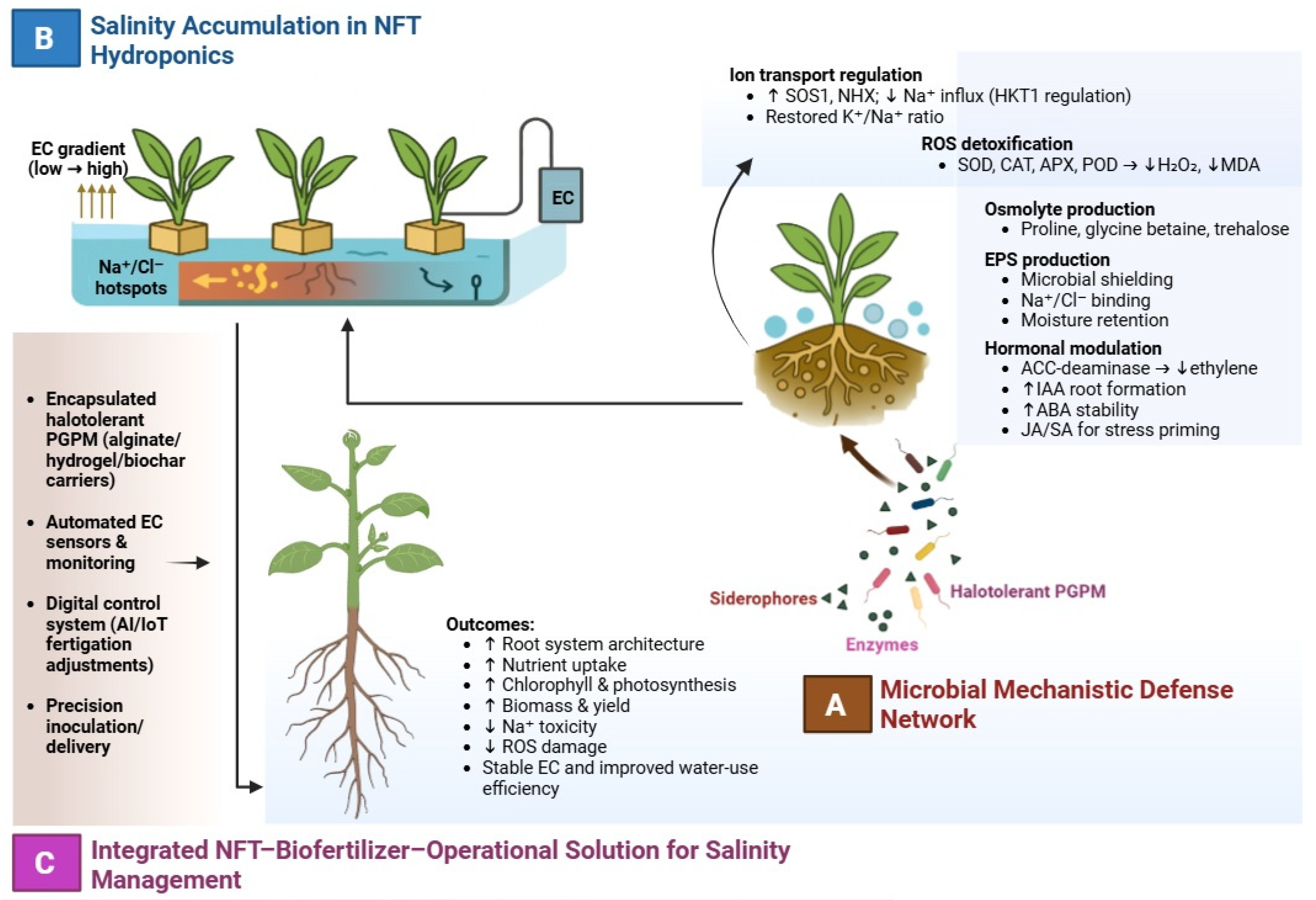 ミワ Epistemology of the Origin of Cancer III: Fundamentals of How