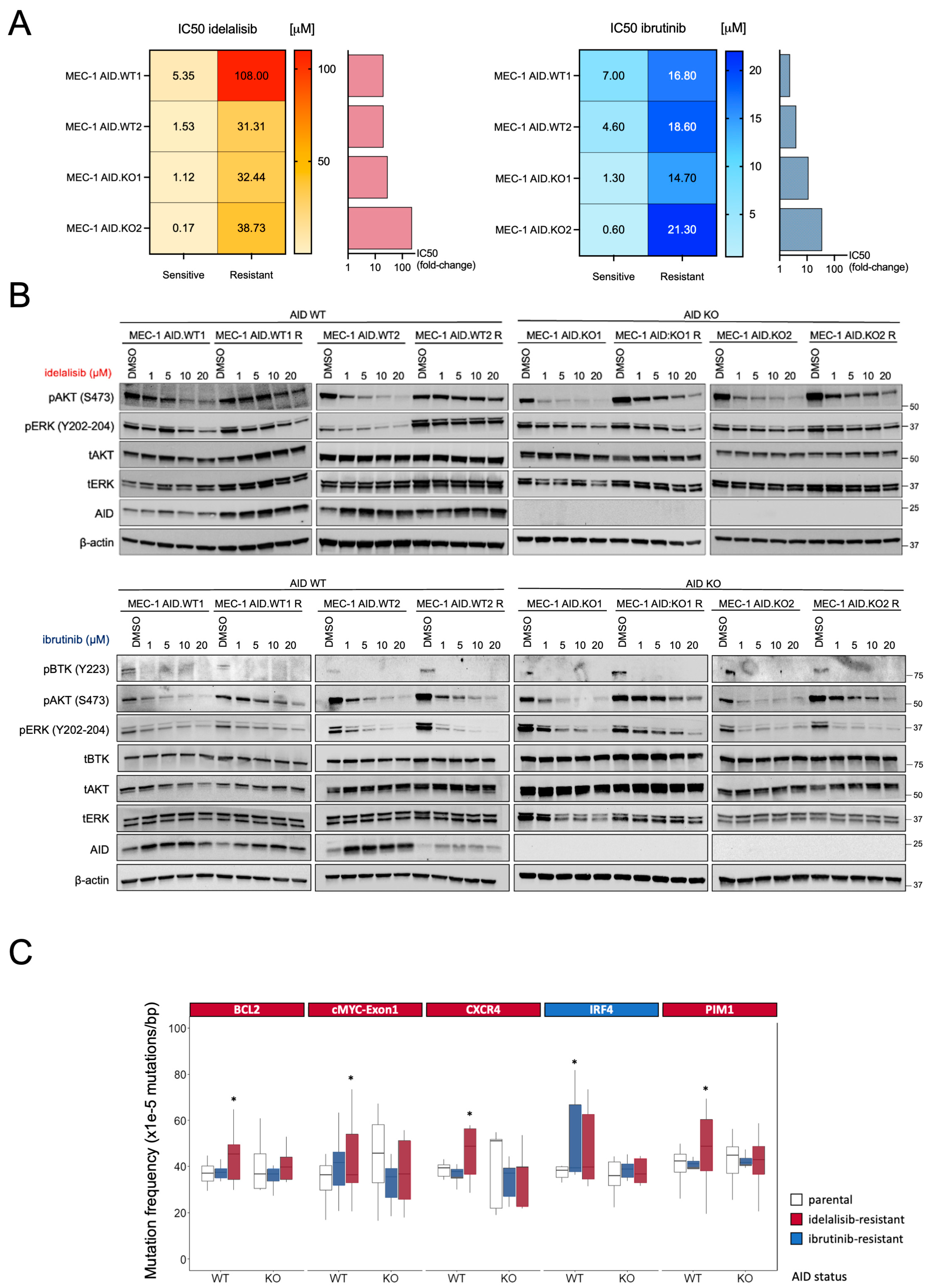 Cimb 47 01031 g002 Cimb 47 01031 g002