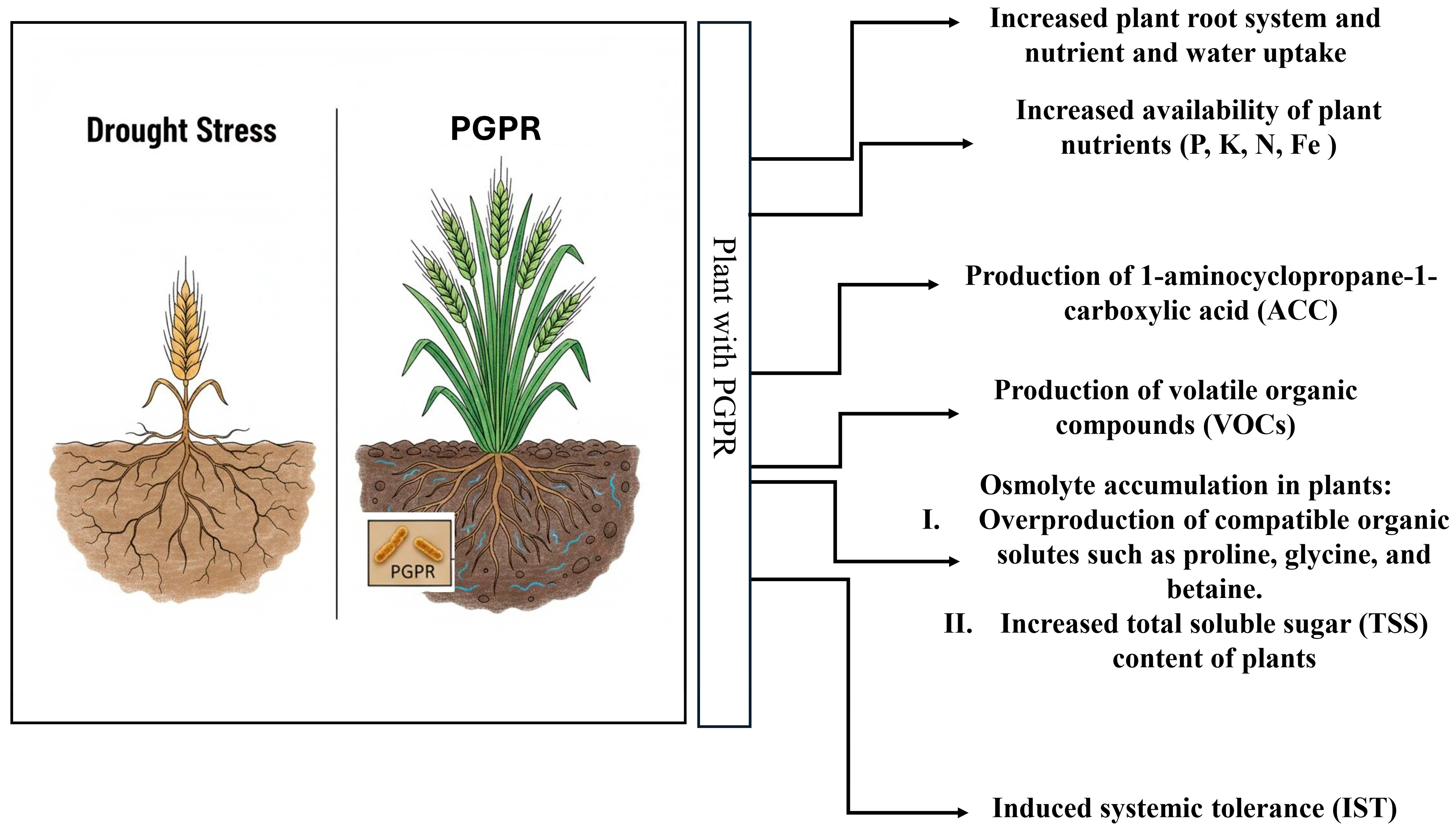 Cimb 47 01040 g001 Cimb 47 01040 g001