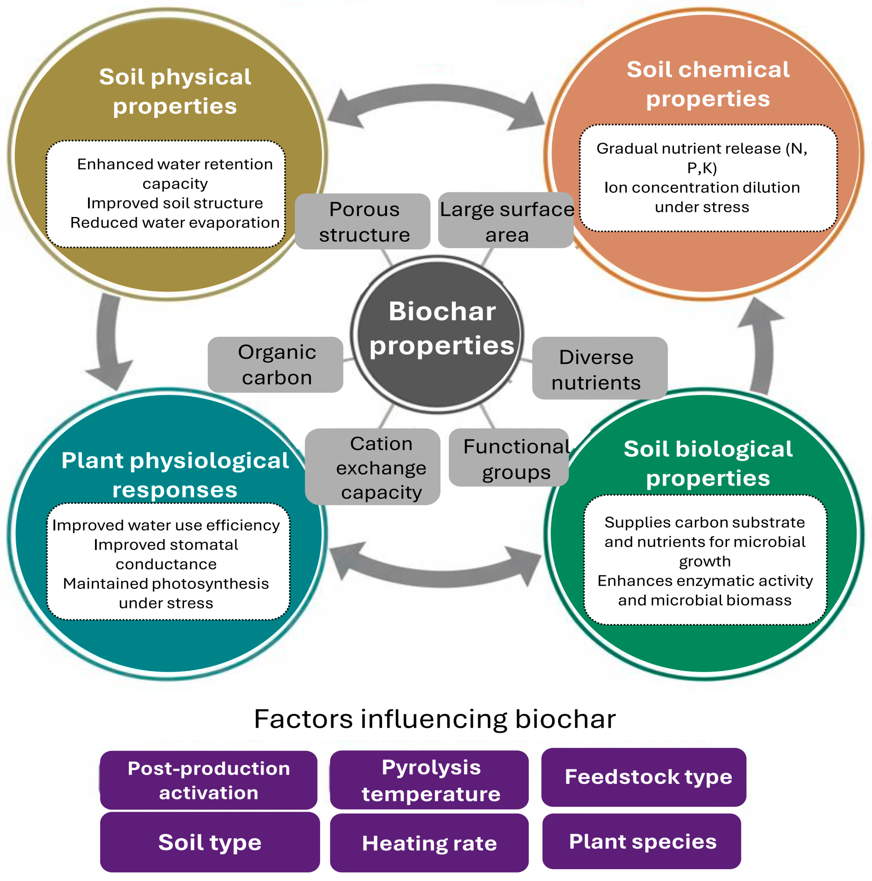 Cimb 47 01040 g002 Cimb 47 01040 g002