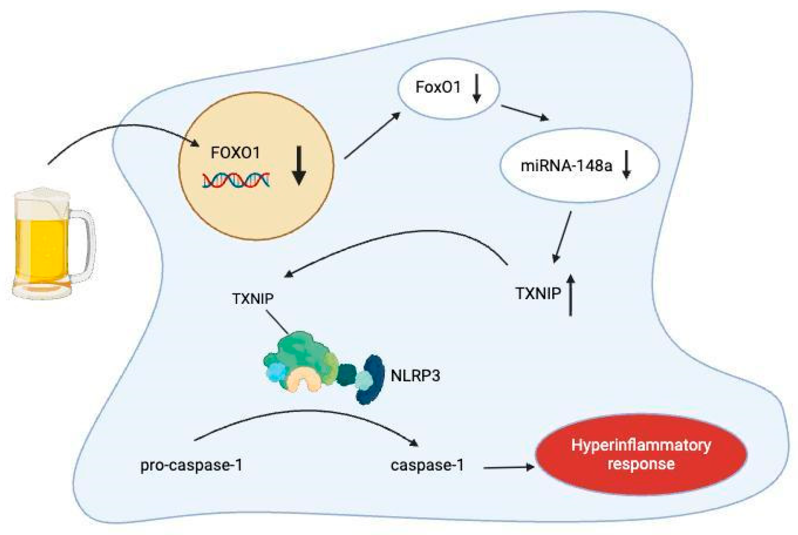 Cimb 47 01048 g005 Cimb 47 01048 g005