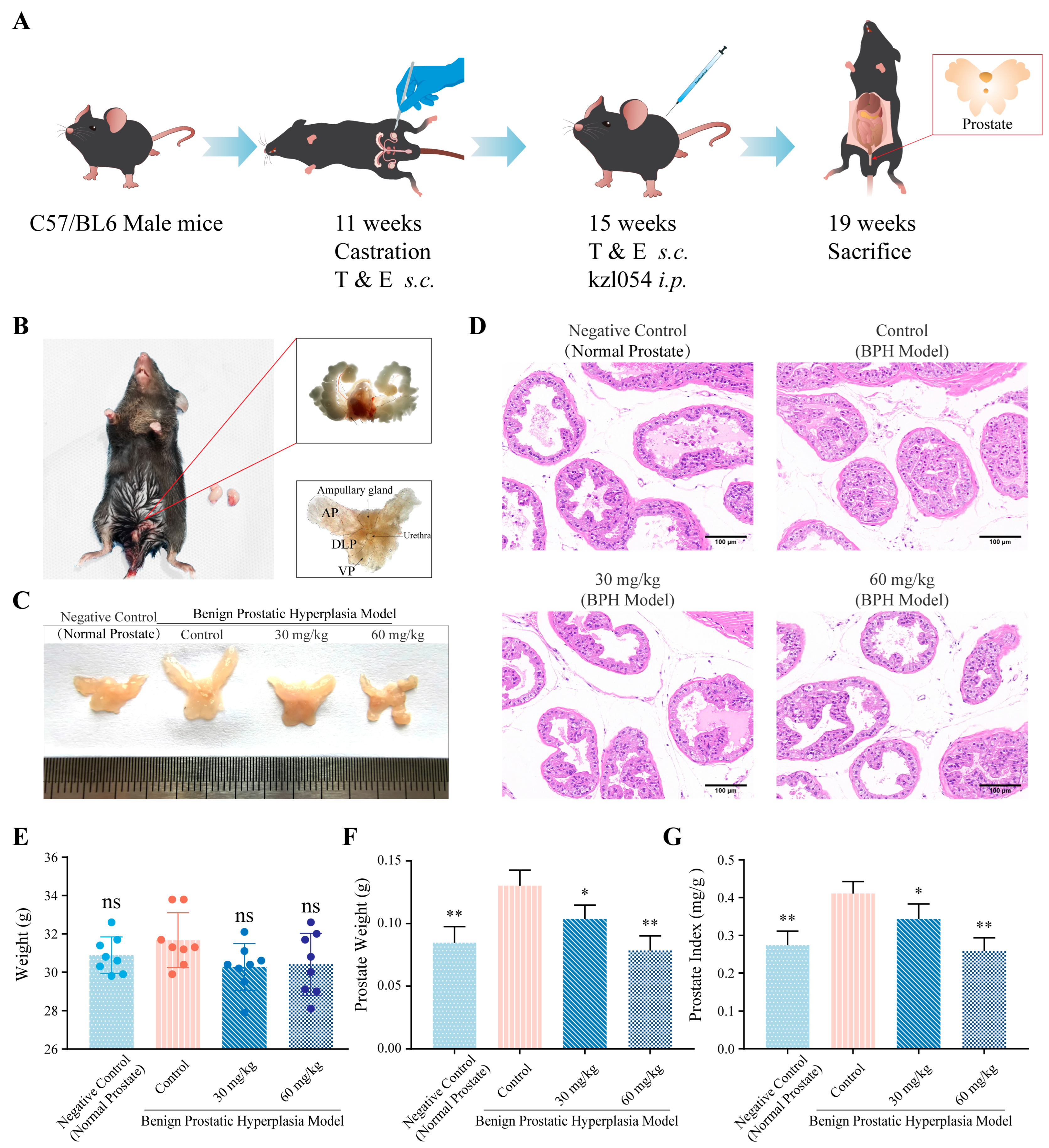 Cimb 47 01057 g003 Cimb 47 01057 g003