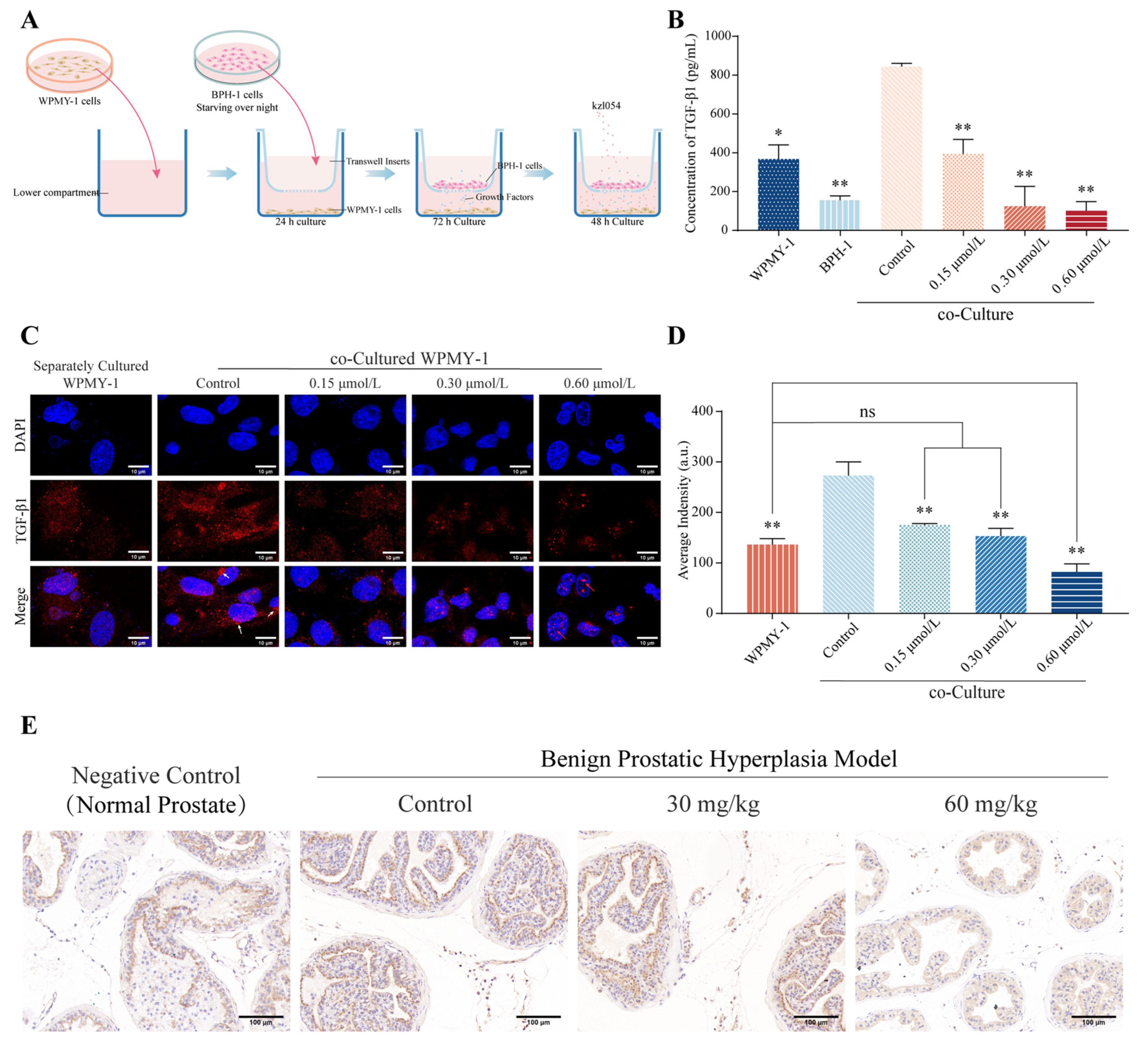 Cimb 47 01057 g005 Cimb 47 01057 g005