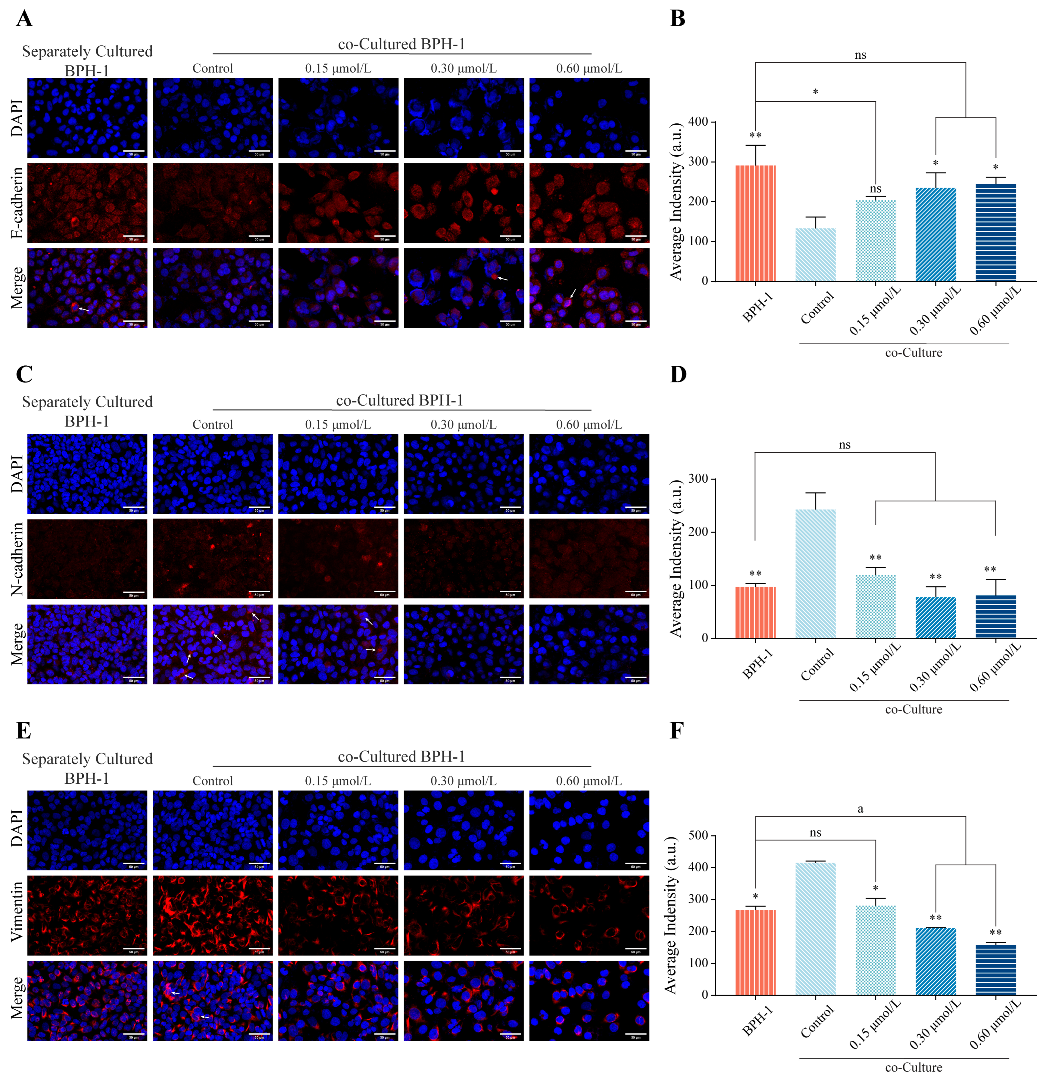 Cimb 47 01057 g006 Cimb 47 01057 g006