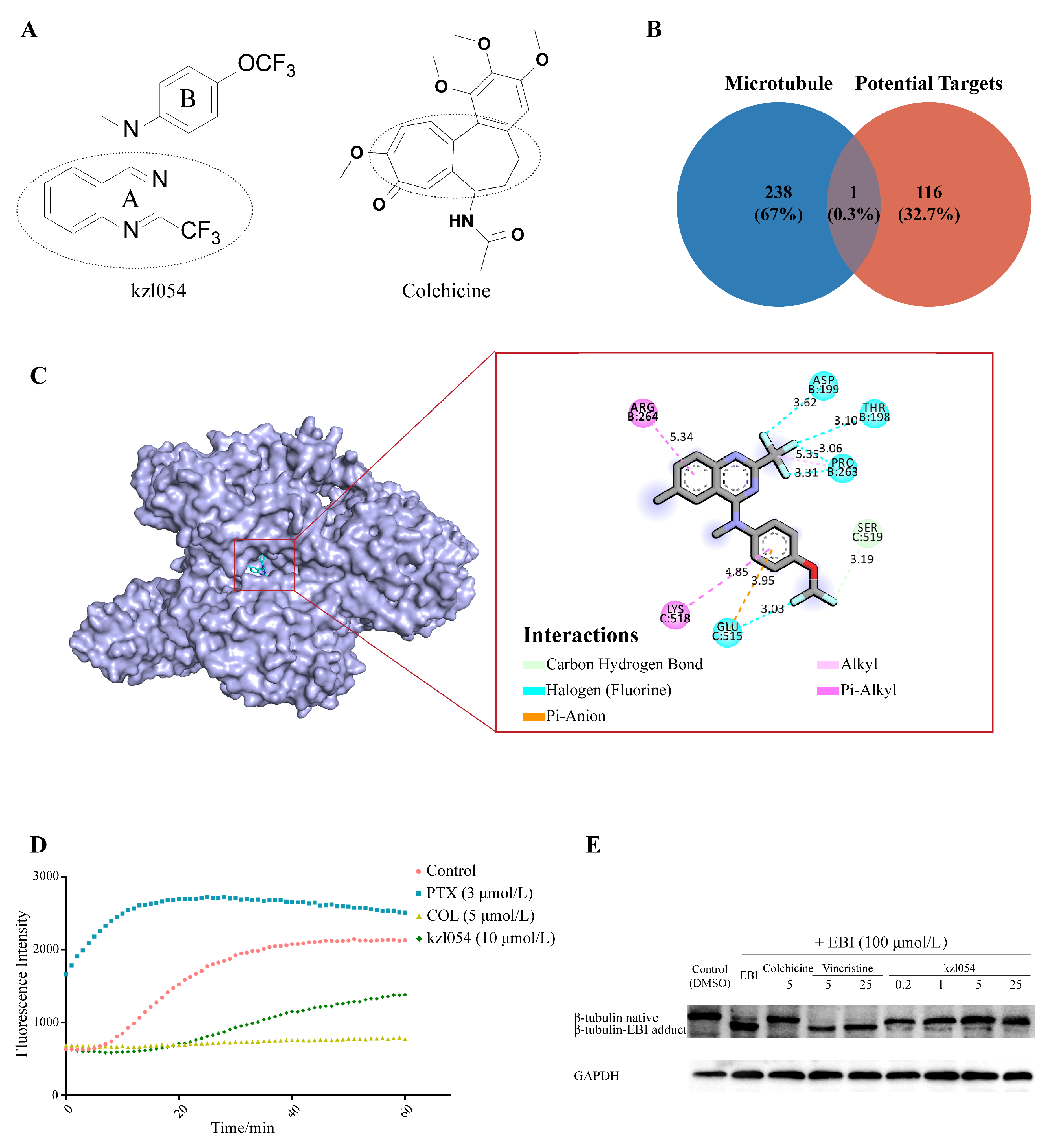 Cimb 47 01057 g007 Cimb 47 01057 g007