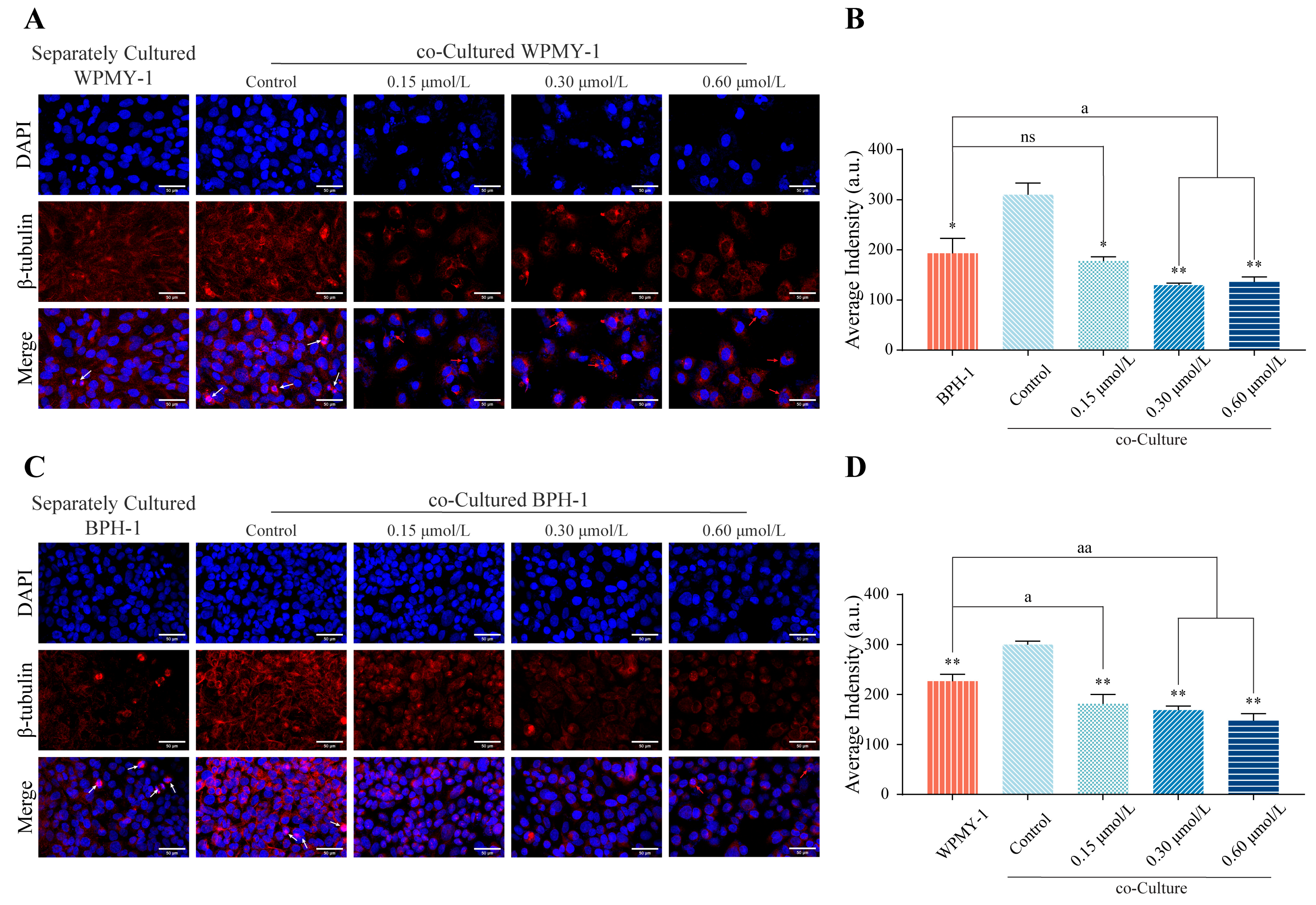 Cimb 47 01057 g008 Cimb 47 01057 g008