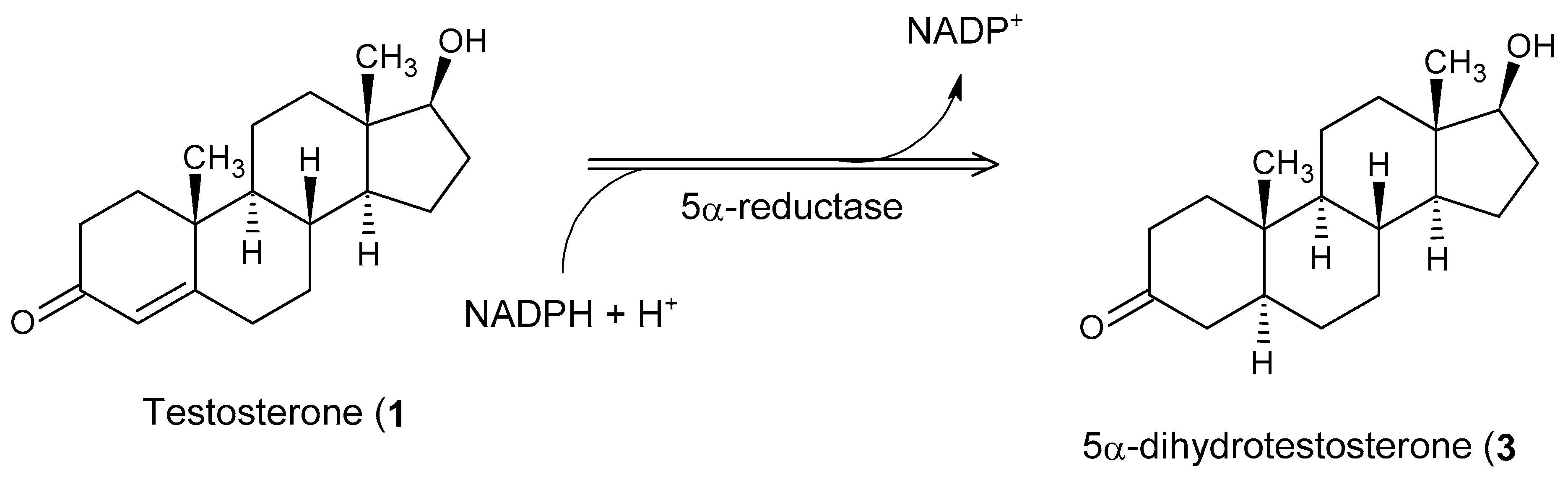 Cimb 47 01059 g001 Cimb 47 01059 g001