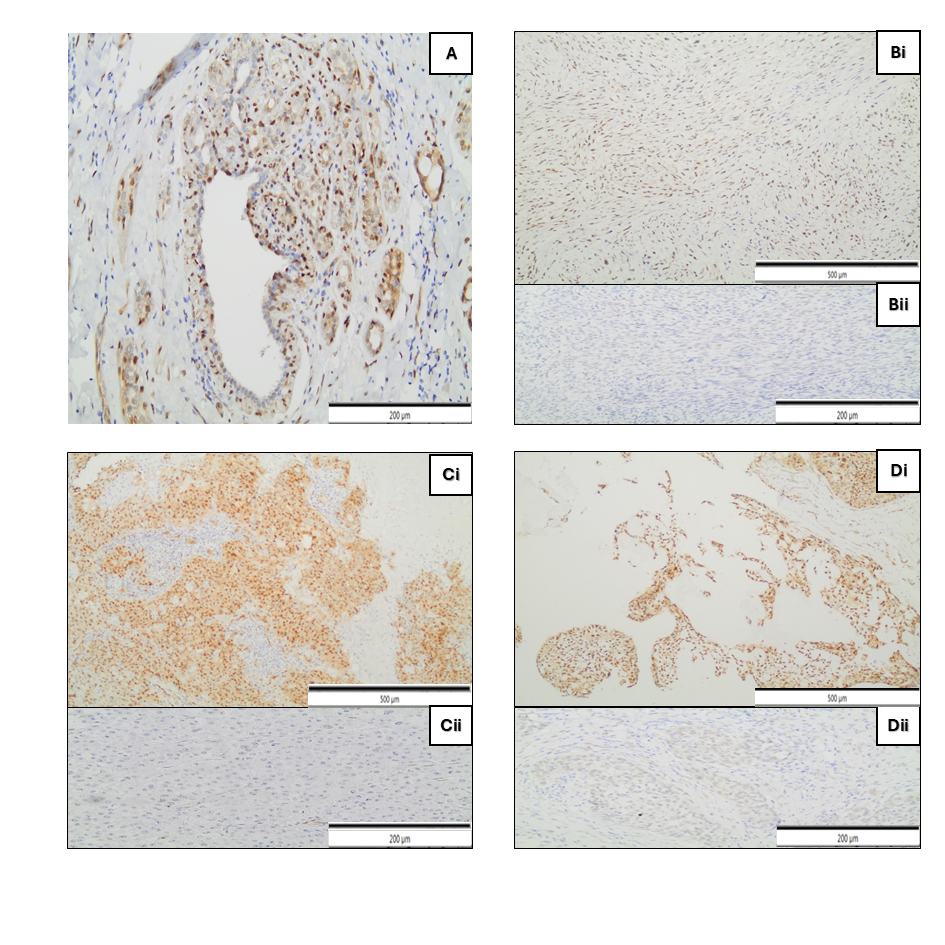 Cimb 47 01060 g001 Cimb 47 01060 g001