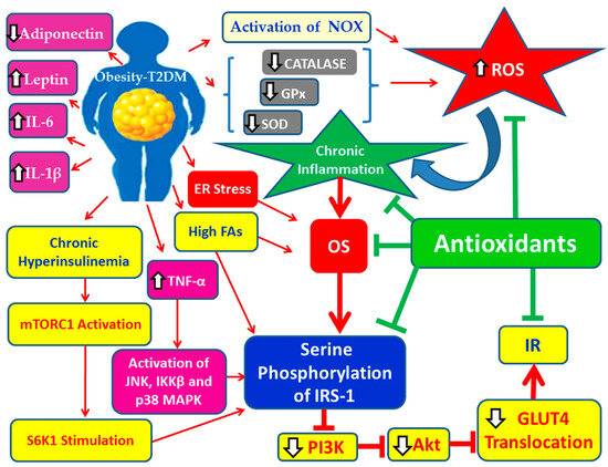 l carnitine powder benefits Amazon.com: BulkSupplements.com L-Carnitine Powder - Carnitine Supplement,  Amino Acid Supplement